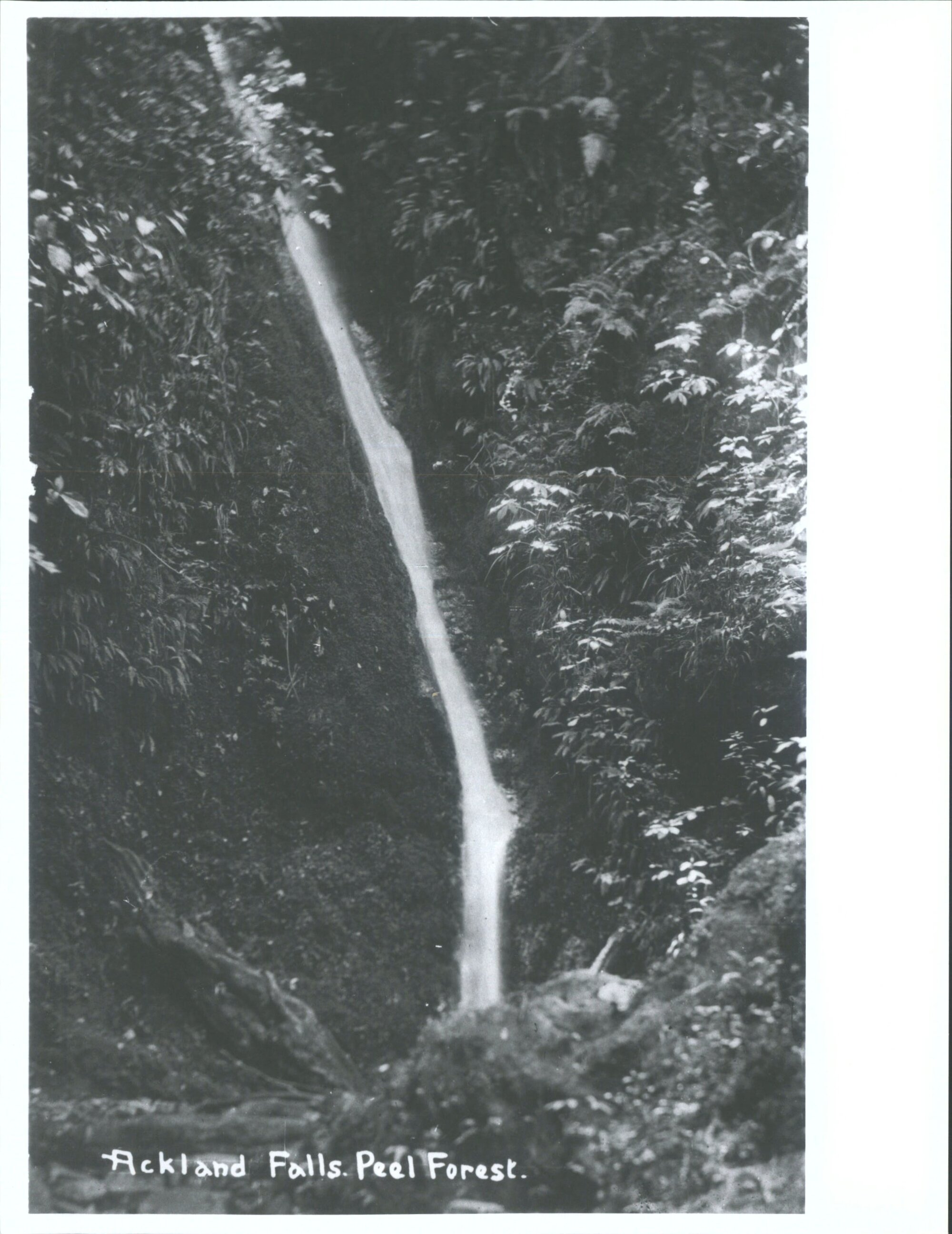 Ackland Falls