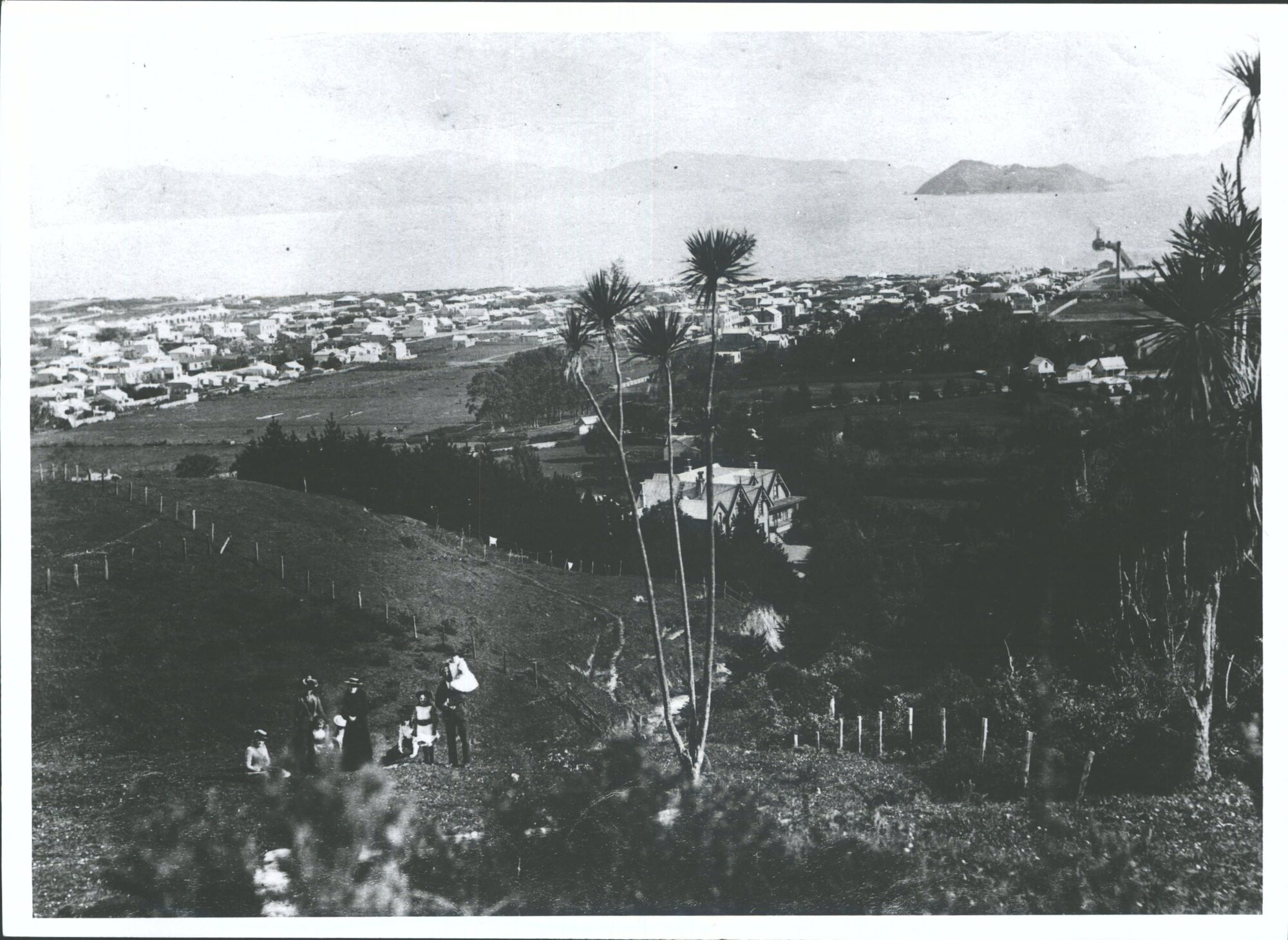 Sir James Hector's home, 'Ratanui'