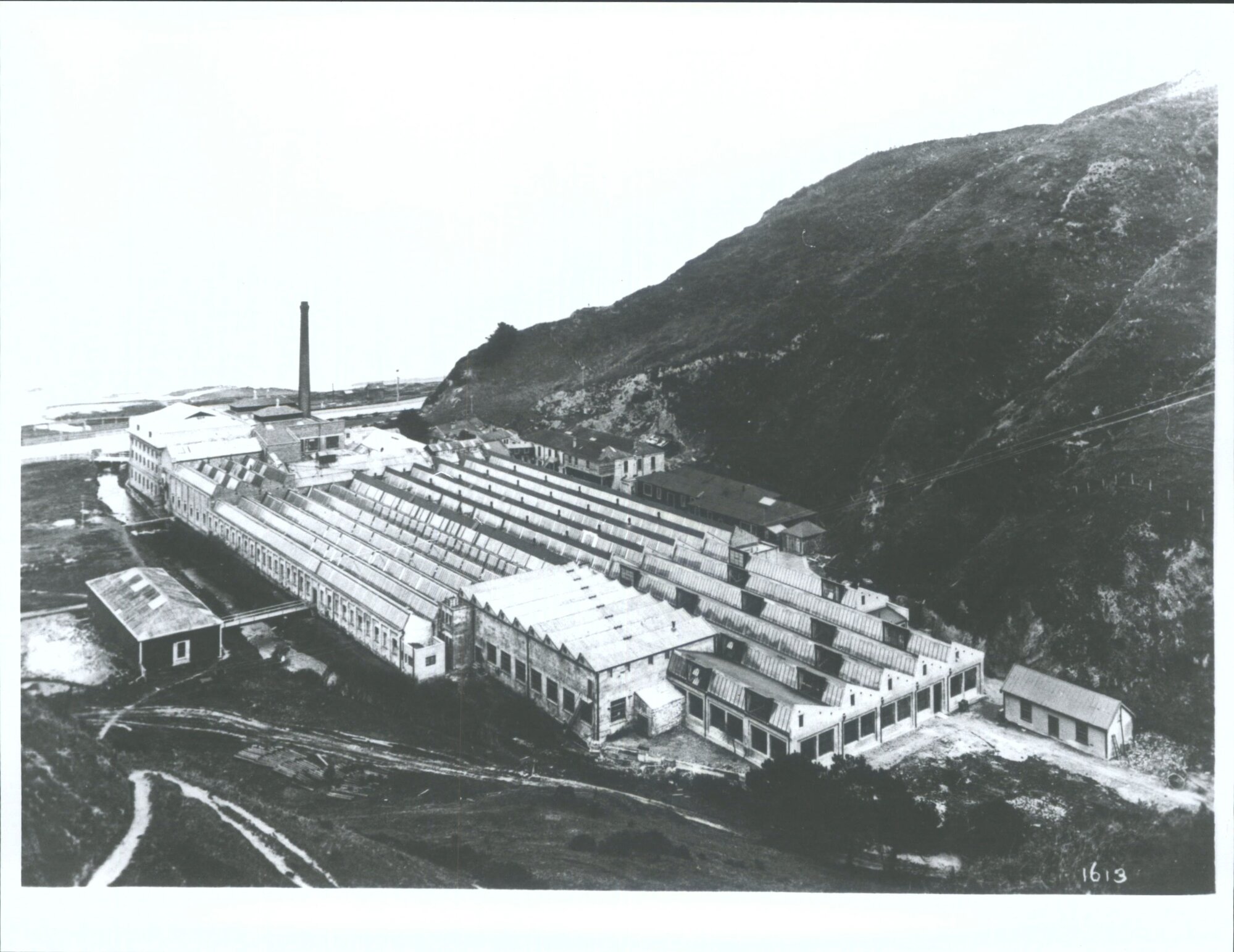 Wellington Woollen Mills