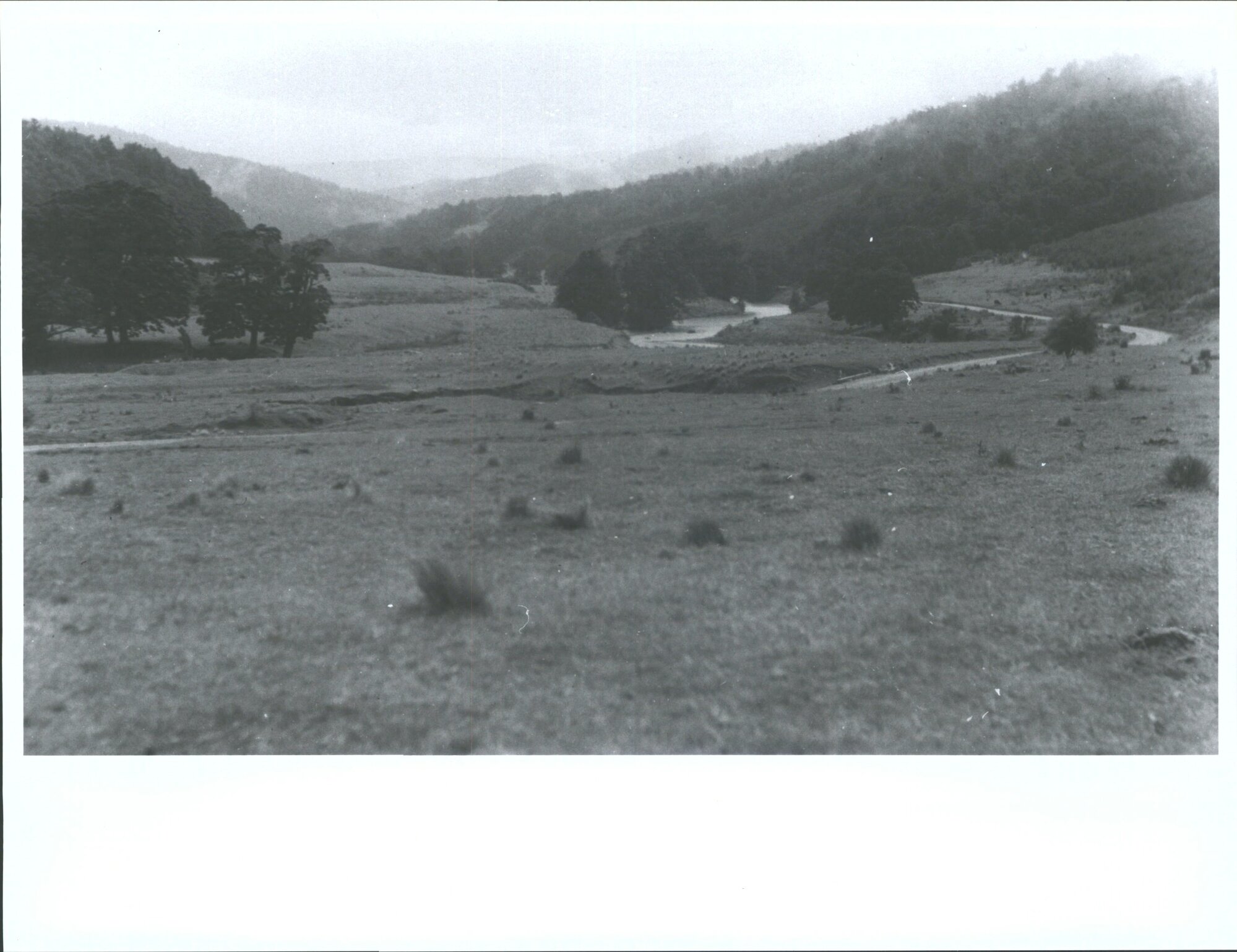DNFC trip. Obelisk (or old Man) Range in mist in distance, looking north east