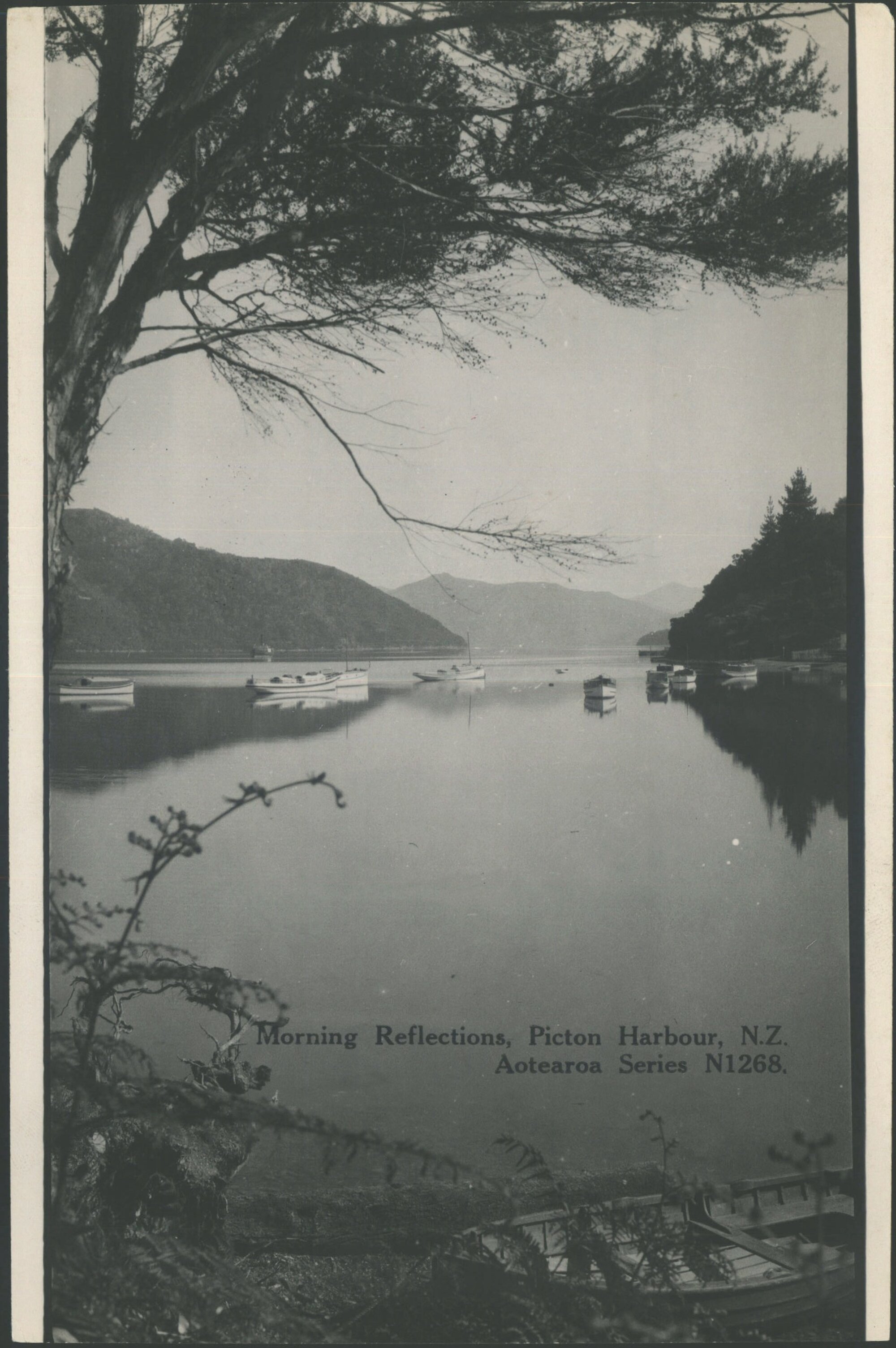 Morning reflections, Picton Harbour