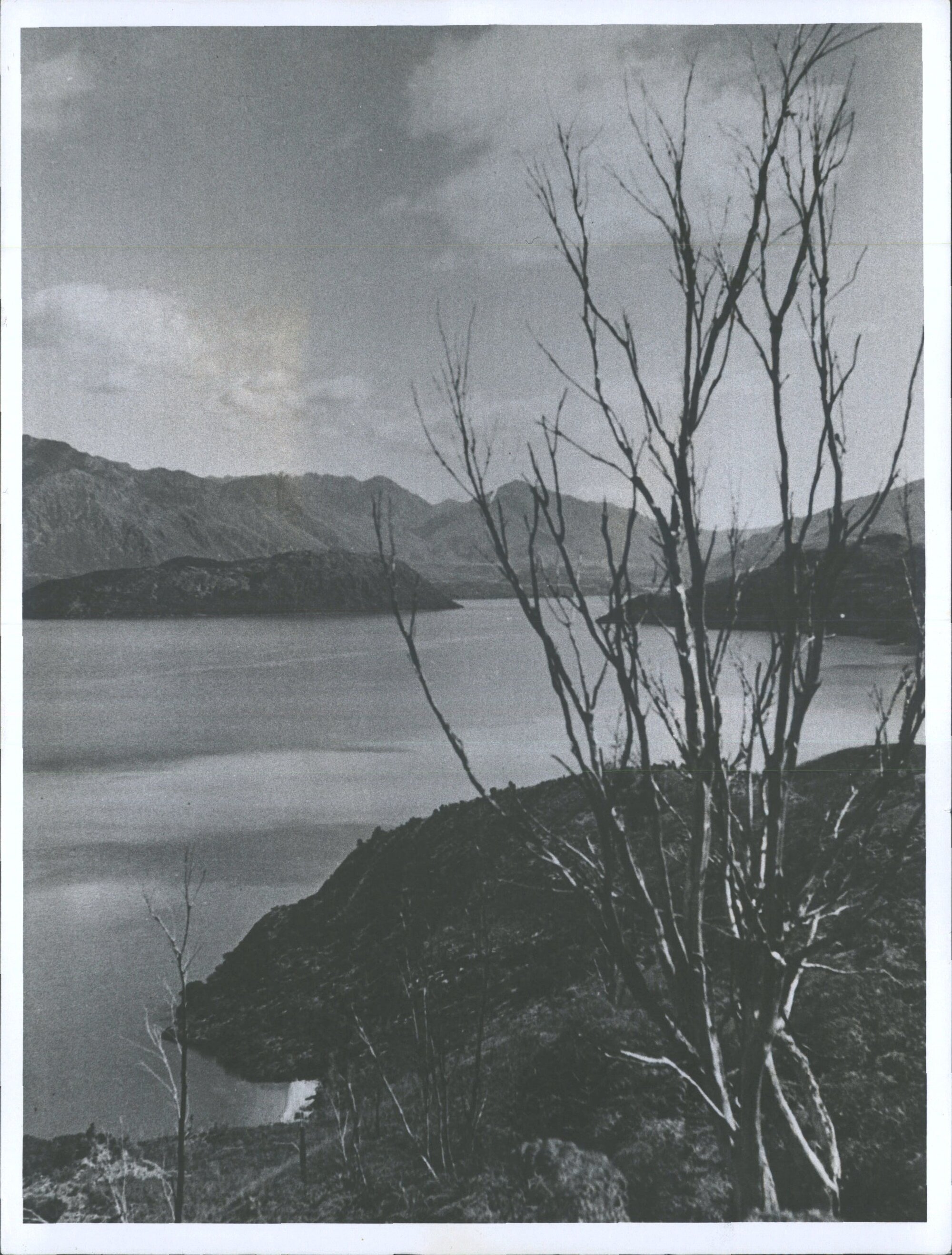 Looking across Lake Wanaka