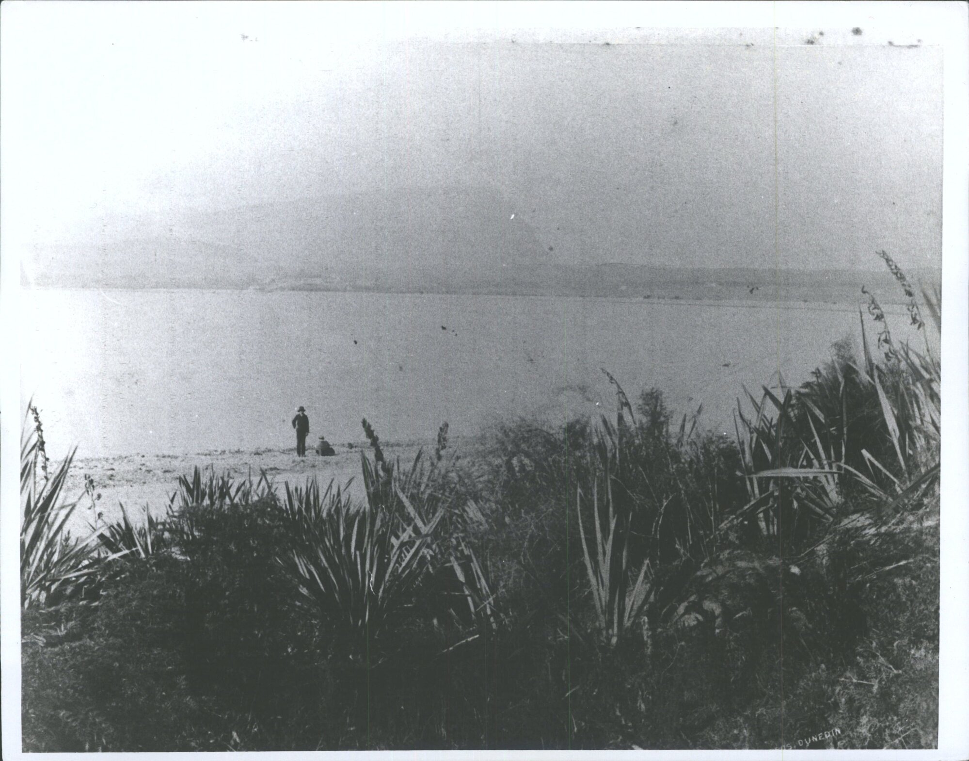 Looking across Lake Wanaka to Mt. Iron