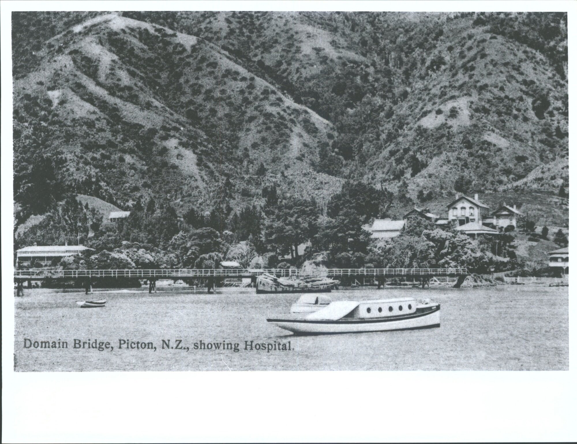 Domain bridge, showing hospital