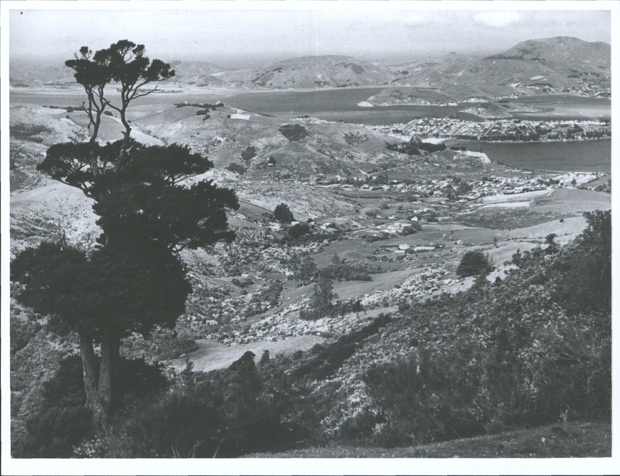 Sawyers Bay from Upper Junction