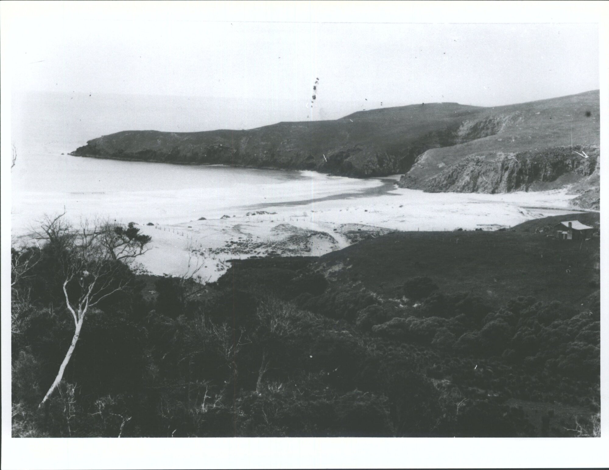 Pipikaretu, Otago Peninsula