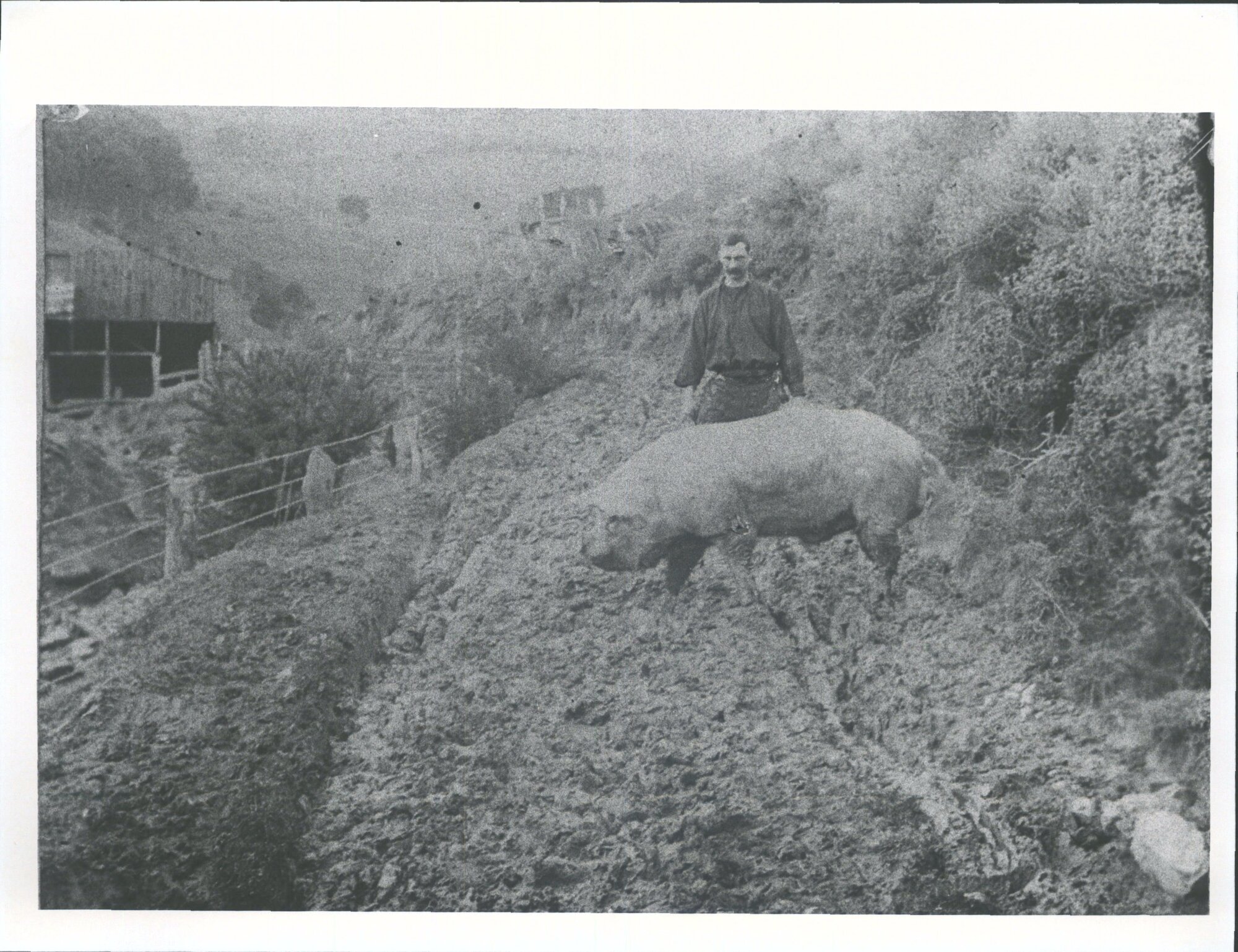 George Mann Middleditch (father of John), Reservoir Road, Sawyers Bay