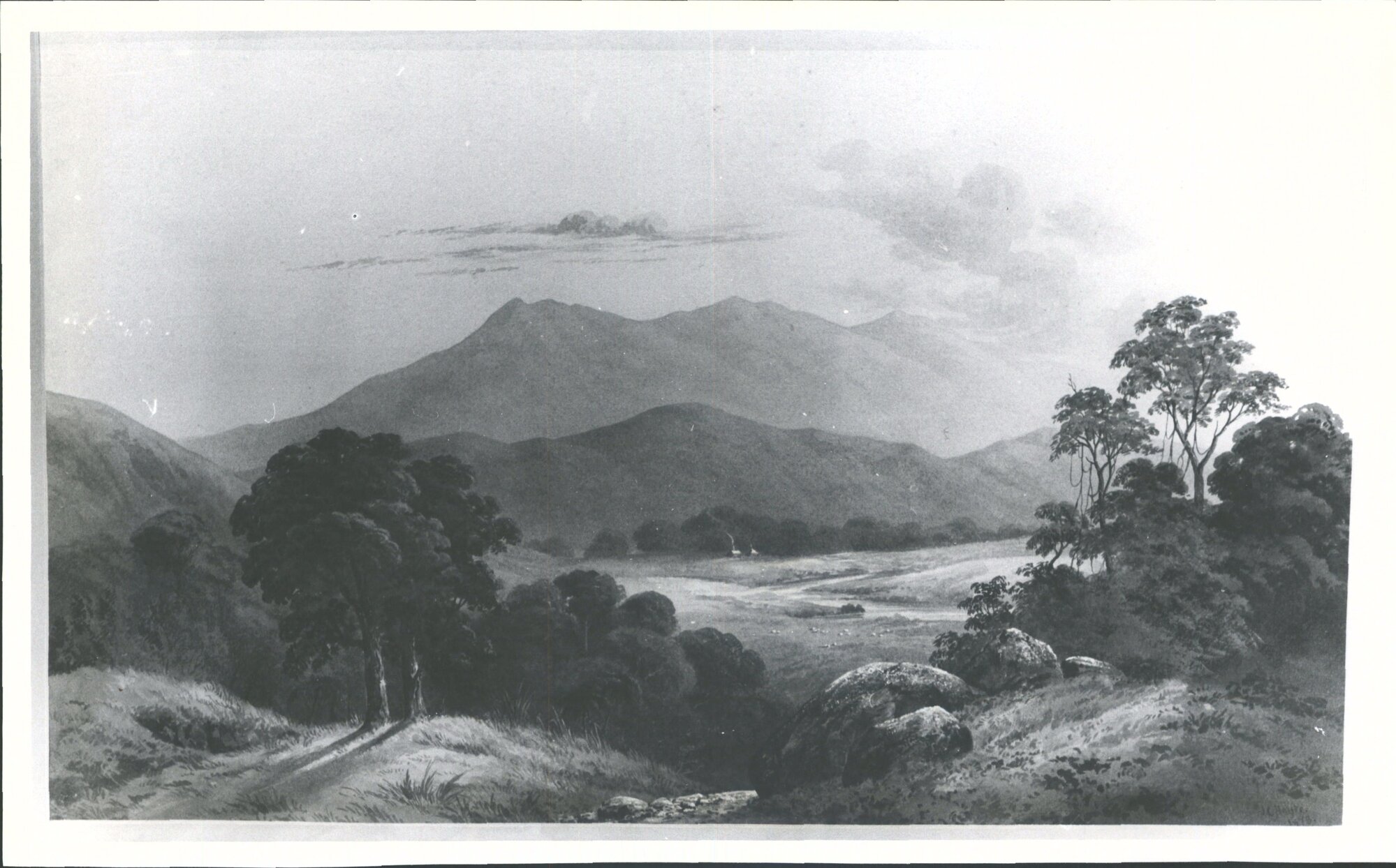 Pirongia Ranges