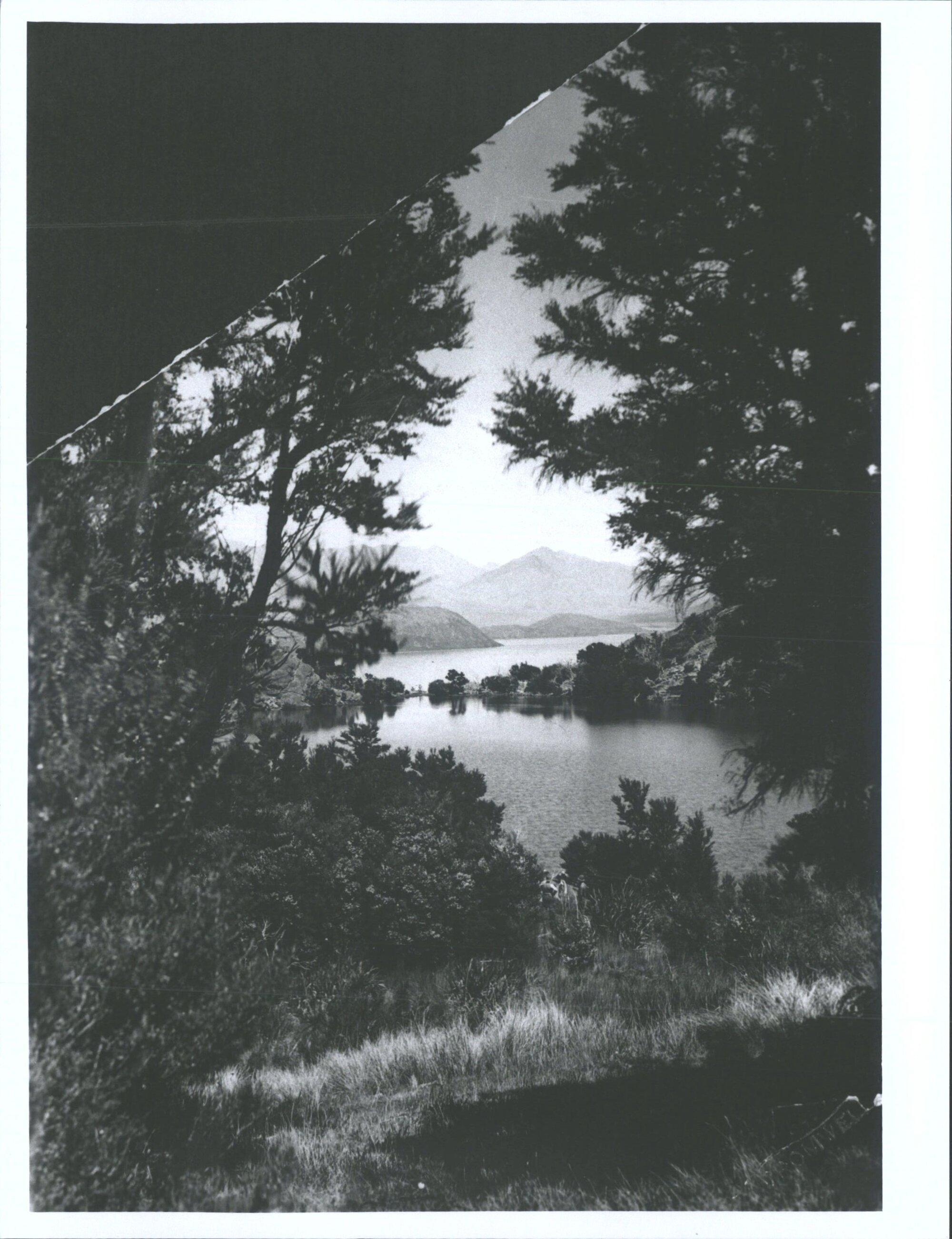 Wanaka and Pigeon Lake in foreground