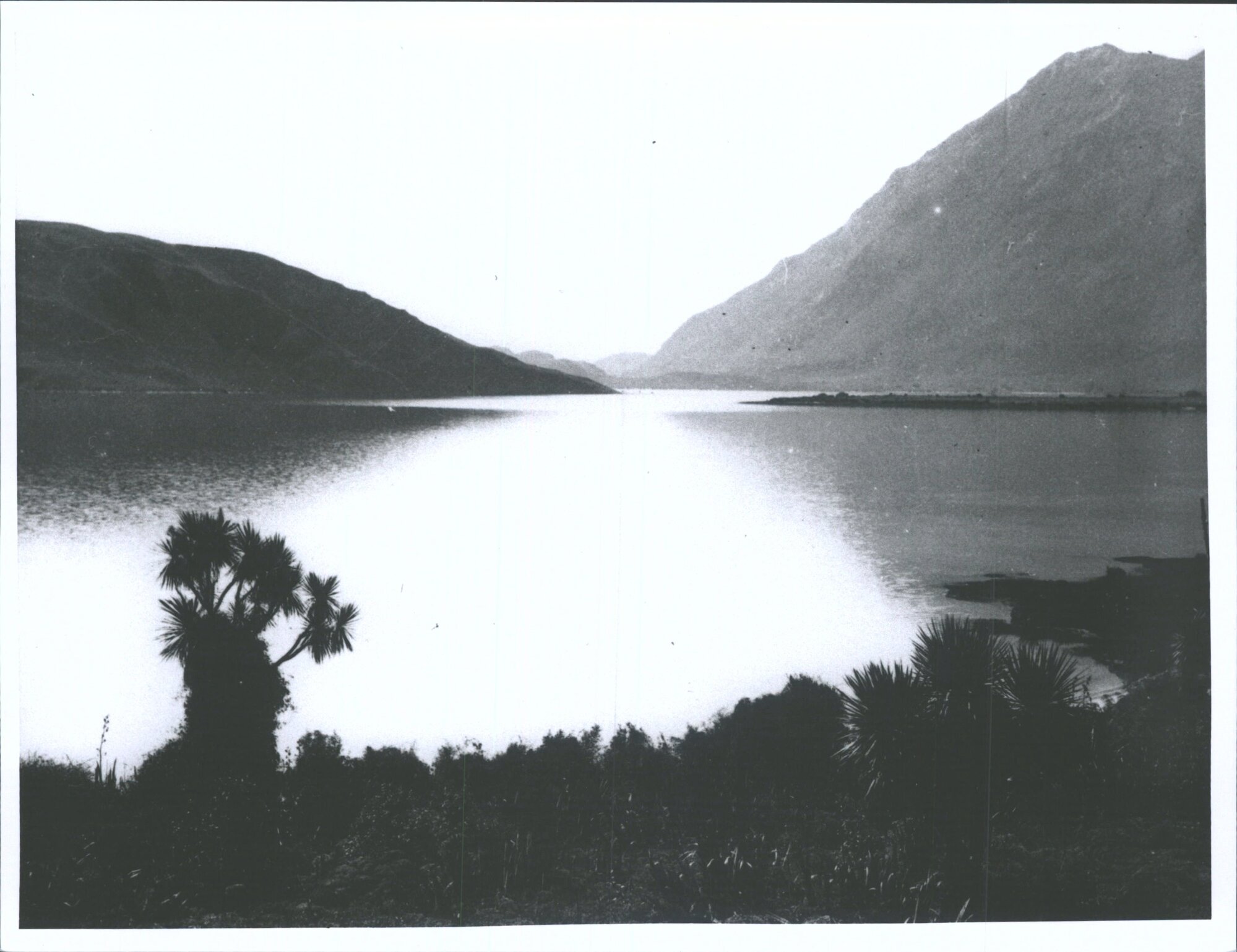 Otago Central Views: Roy's Peak from Glendhu Bay