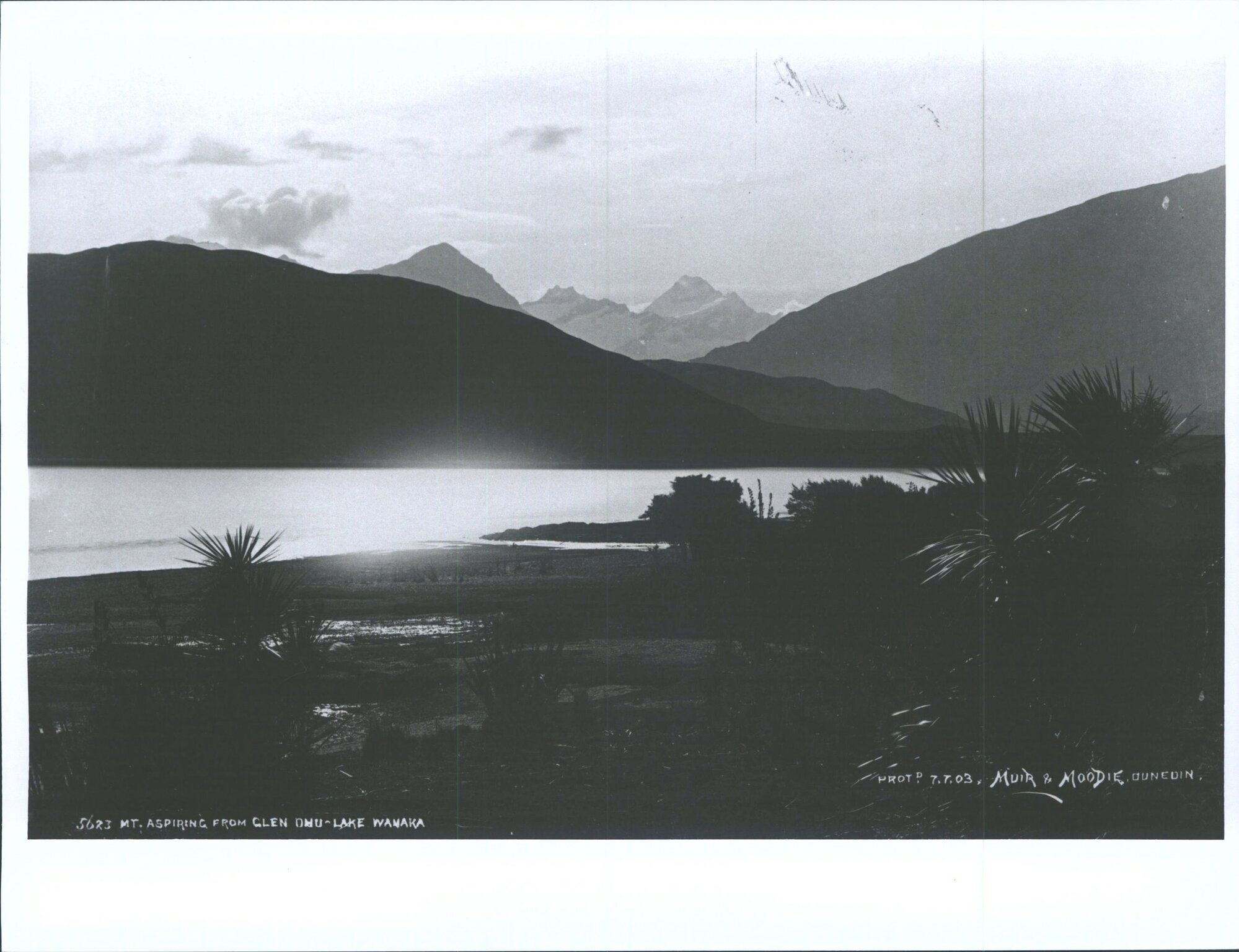 Mt. Aspiring from Glen Dhu - Lake Wanaka