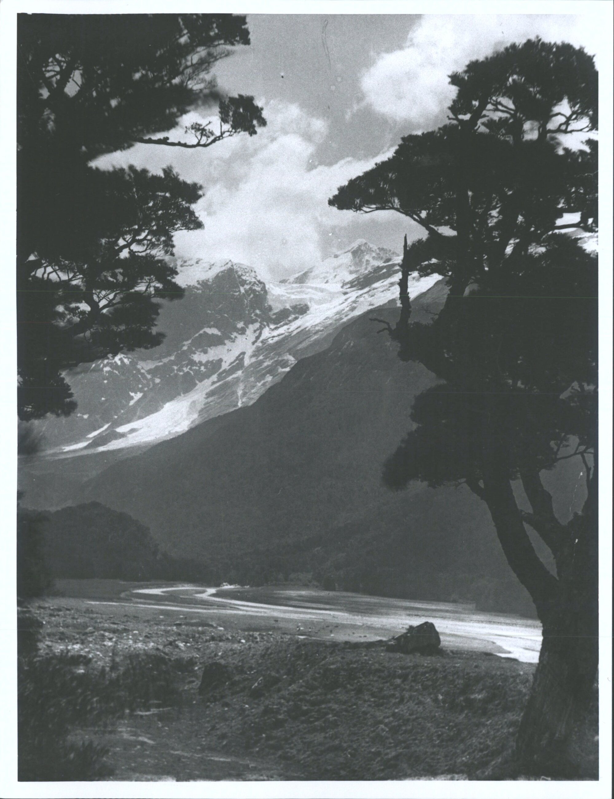 Silver Cove, Wanaka District