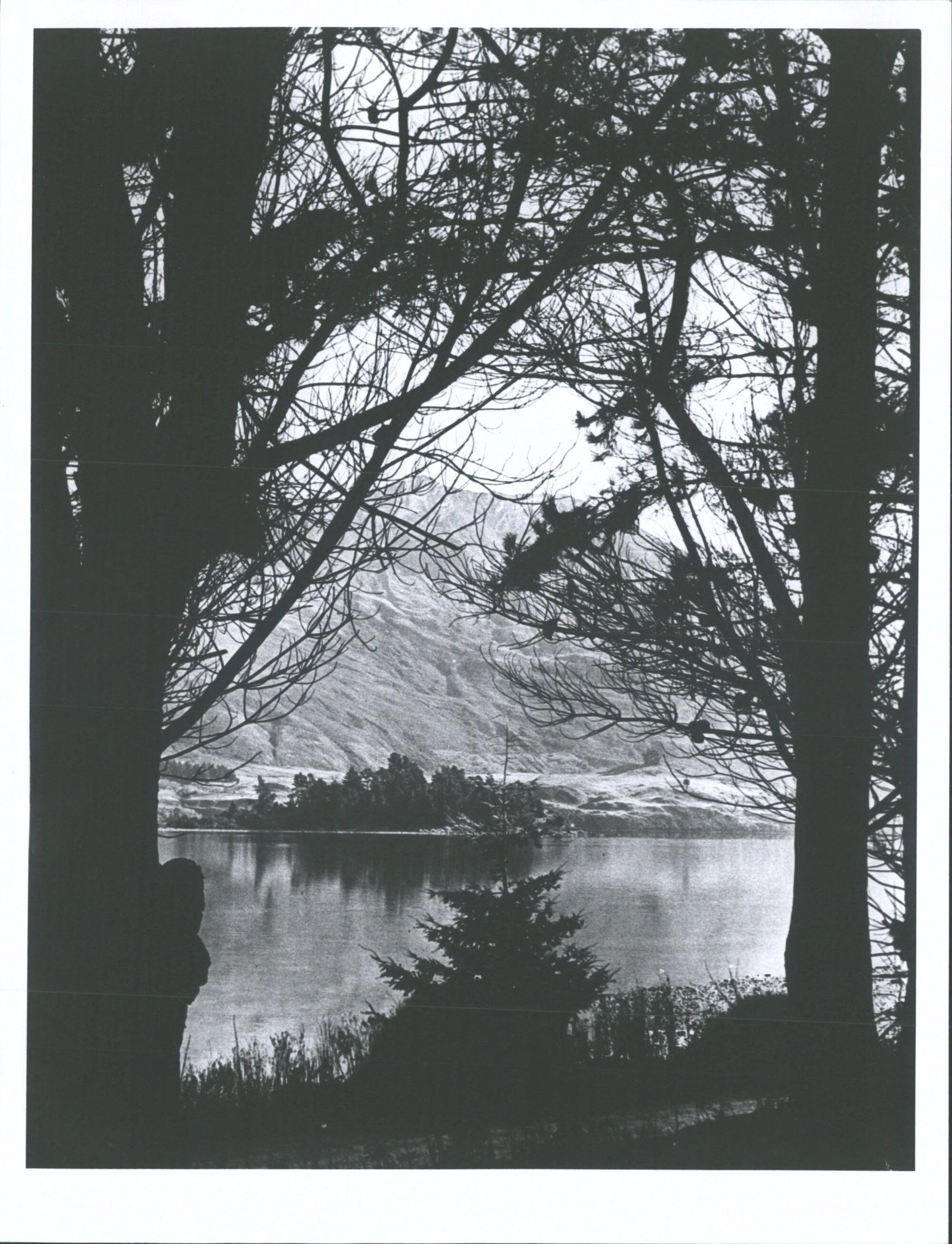 Looking across Roys Bay