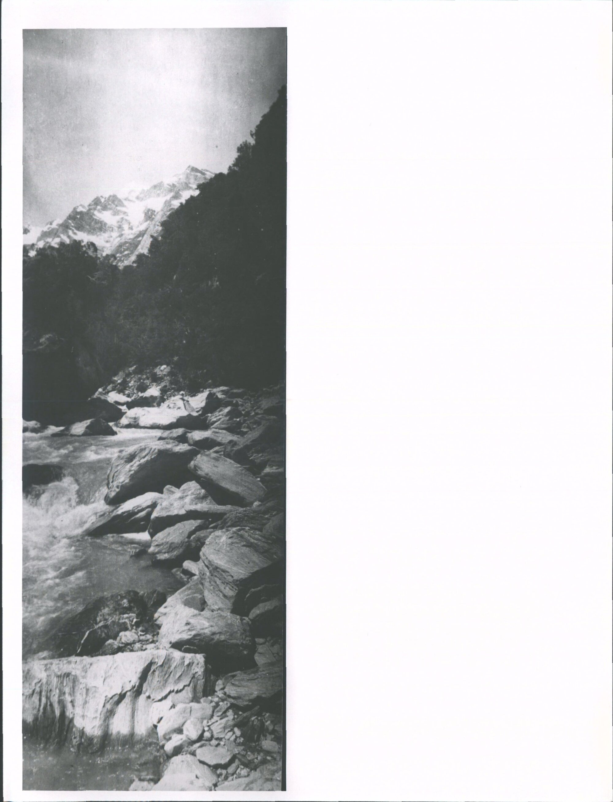 Back of Mt. Sefton from Copland Valley