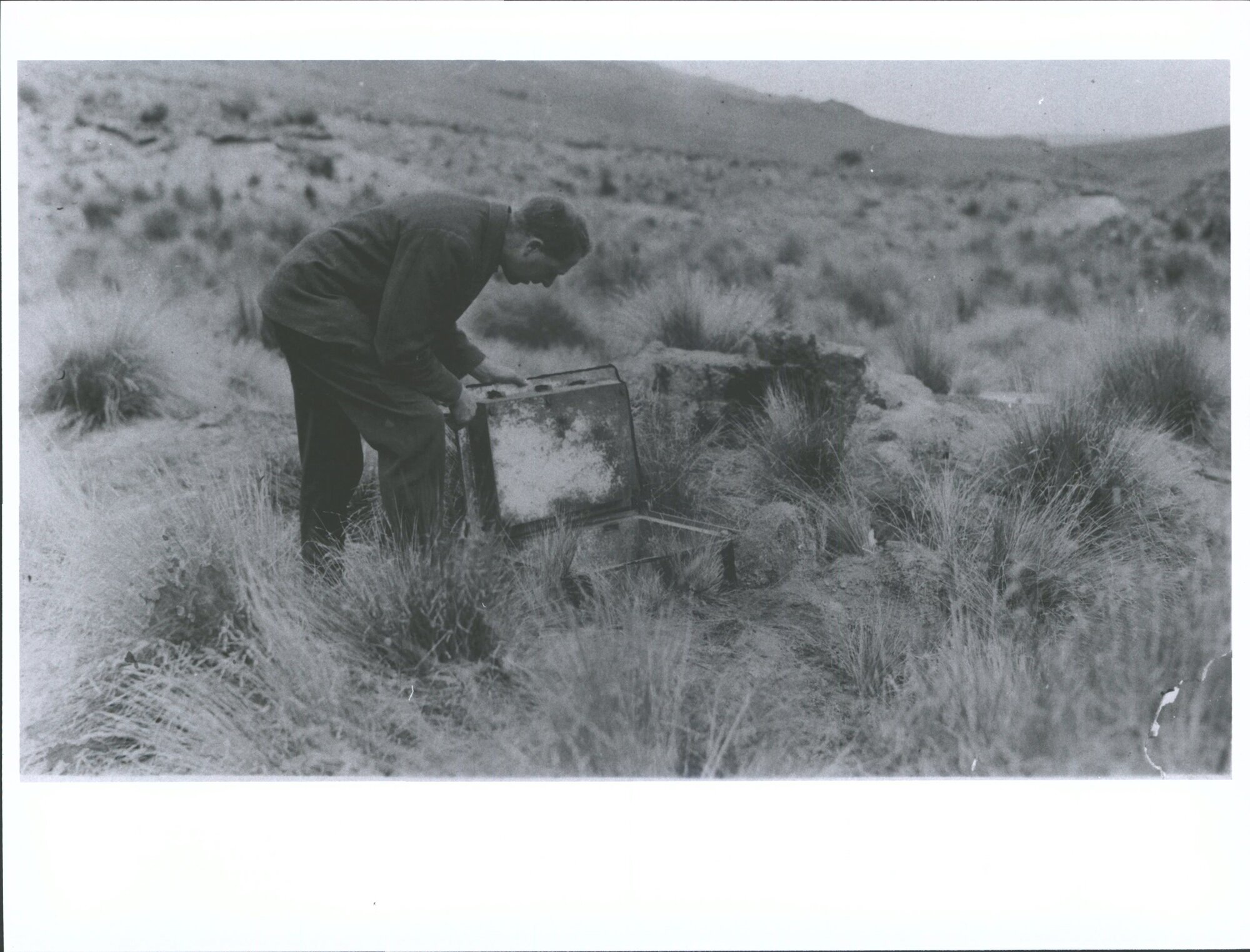Unidentified man at Golden Gully
