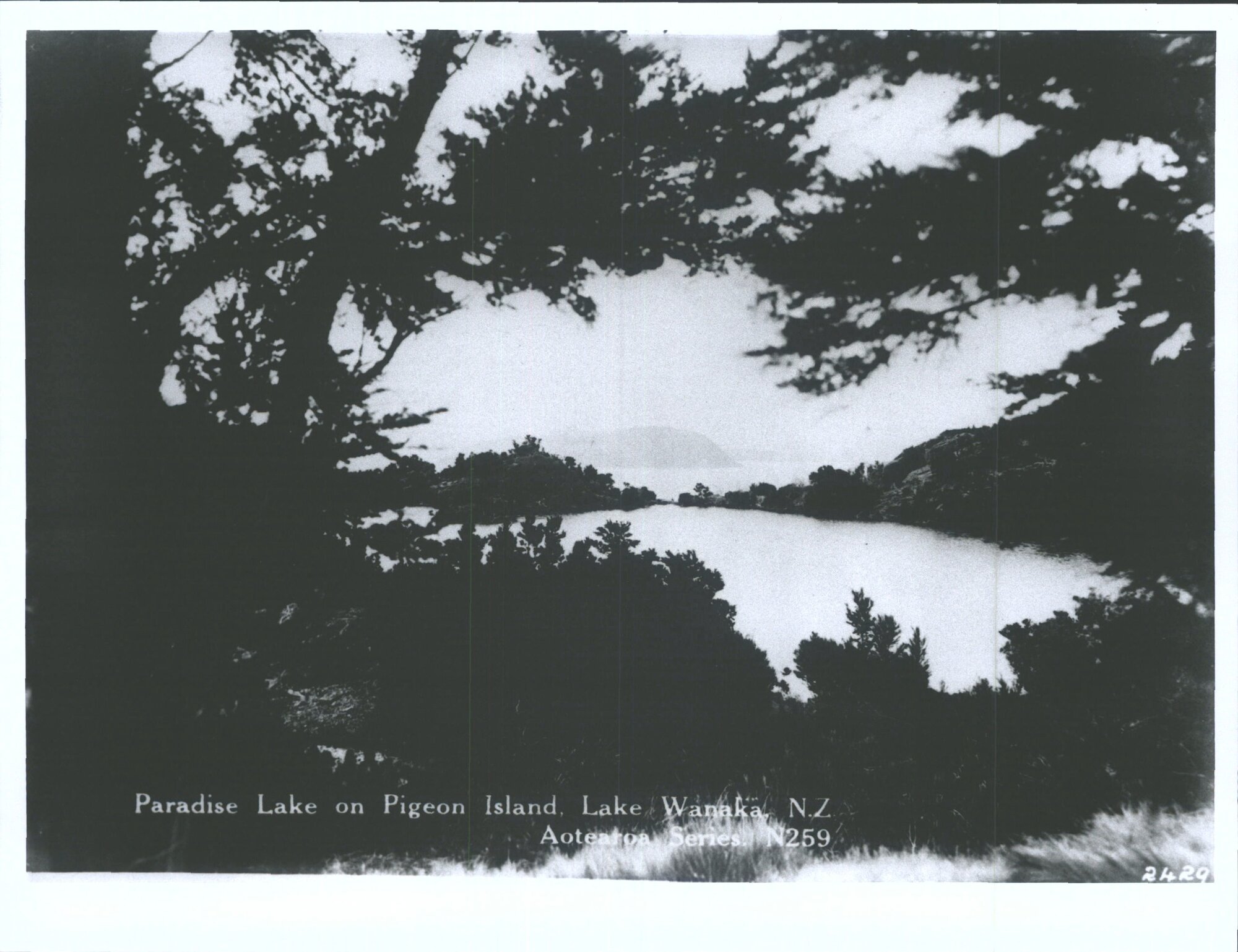 Paradise Lake on Pigeon Island, Lake Wanaka, N.Z.