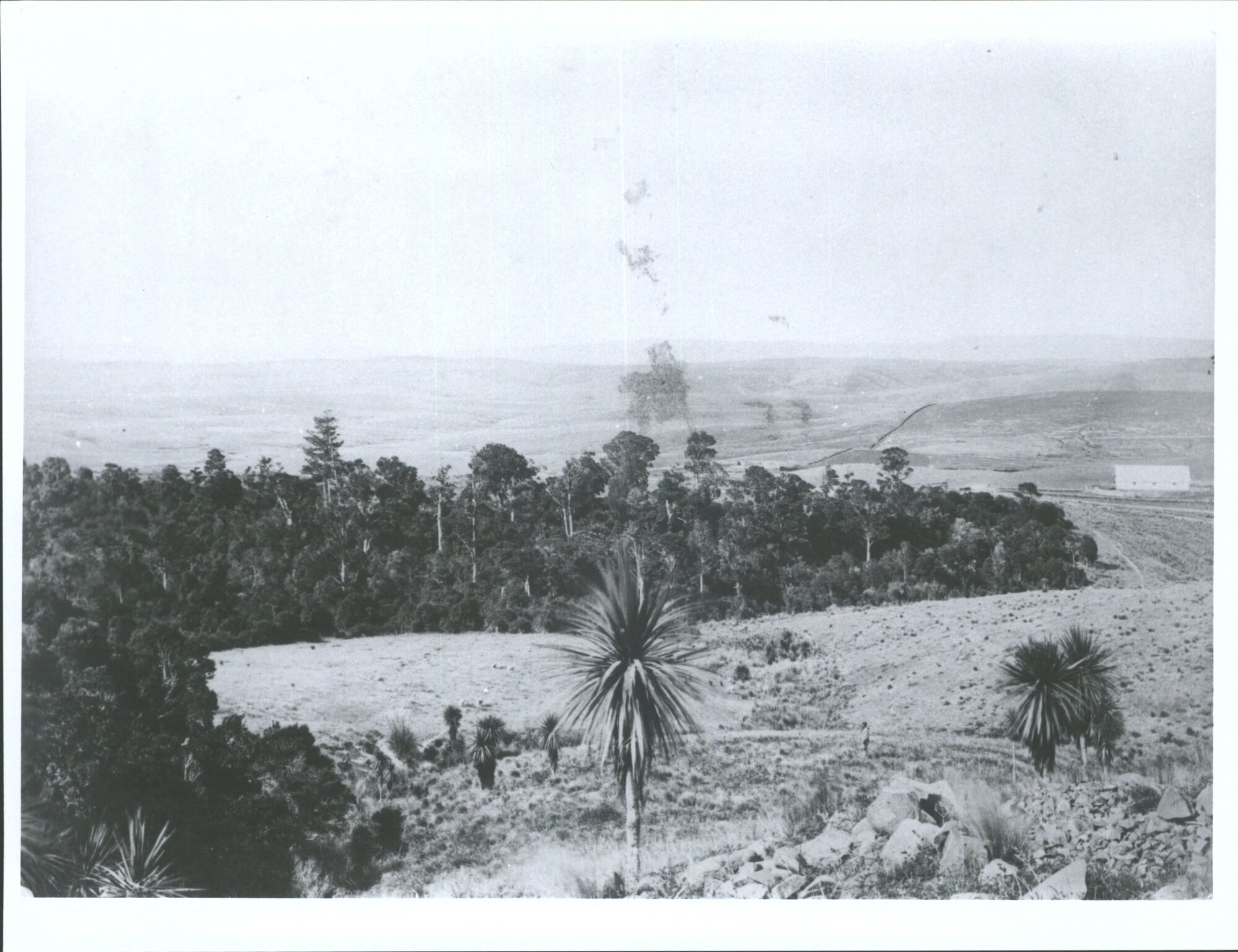 View from Popotunoa Hill