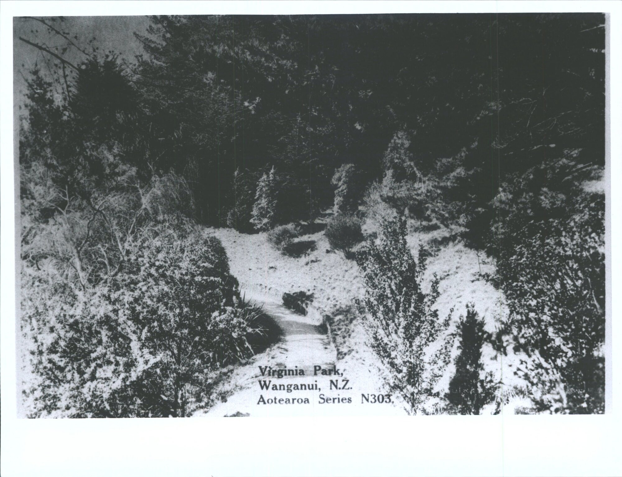 Virginia Park, Wanganui, N.Z.