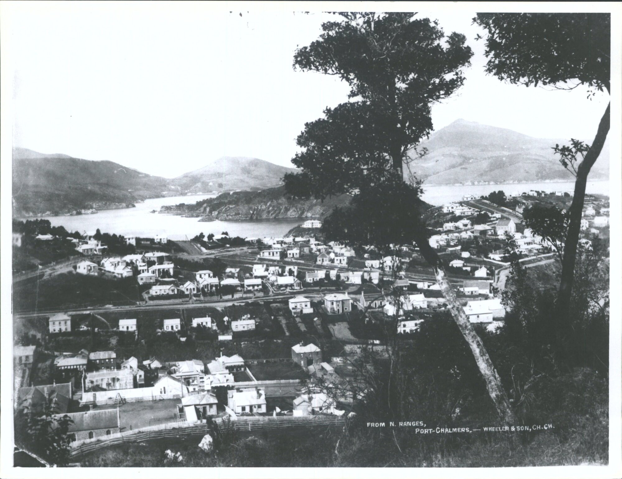 From N. Ranges, Port Chalmers