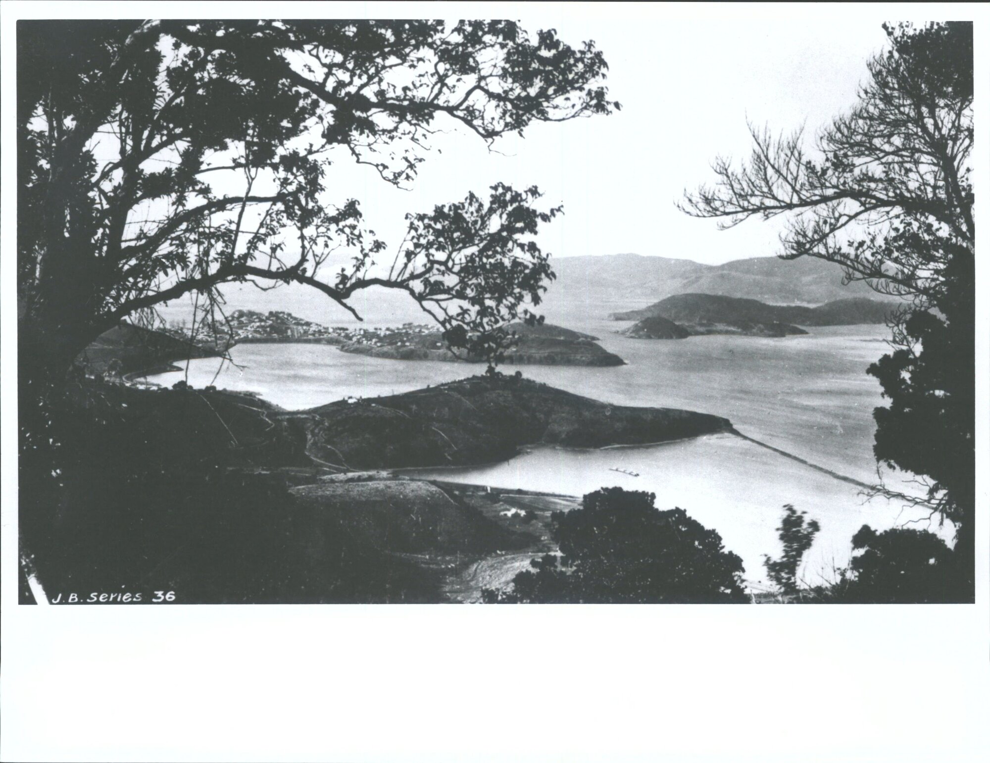 [view from the Junction] from Junction Road