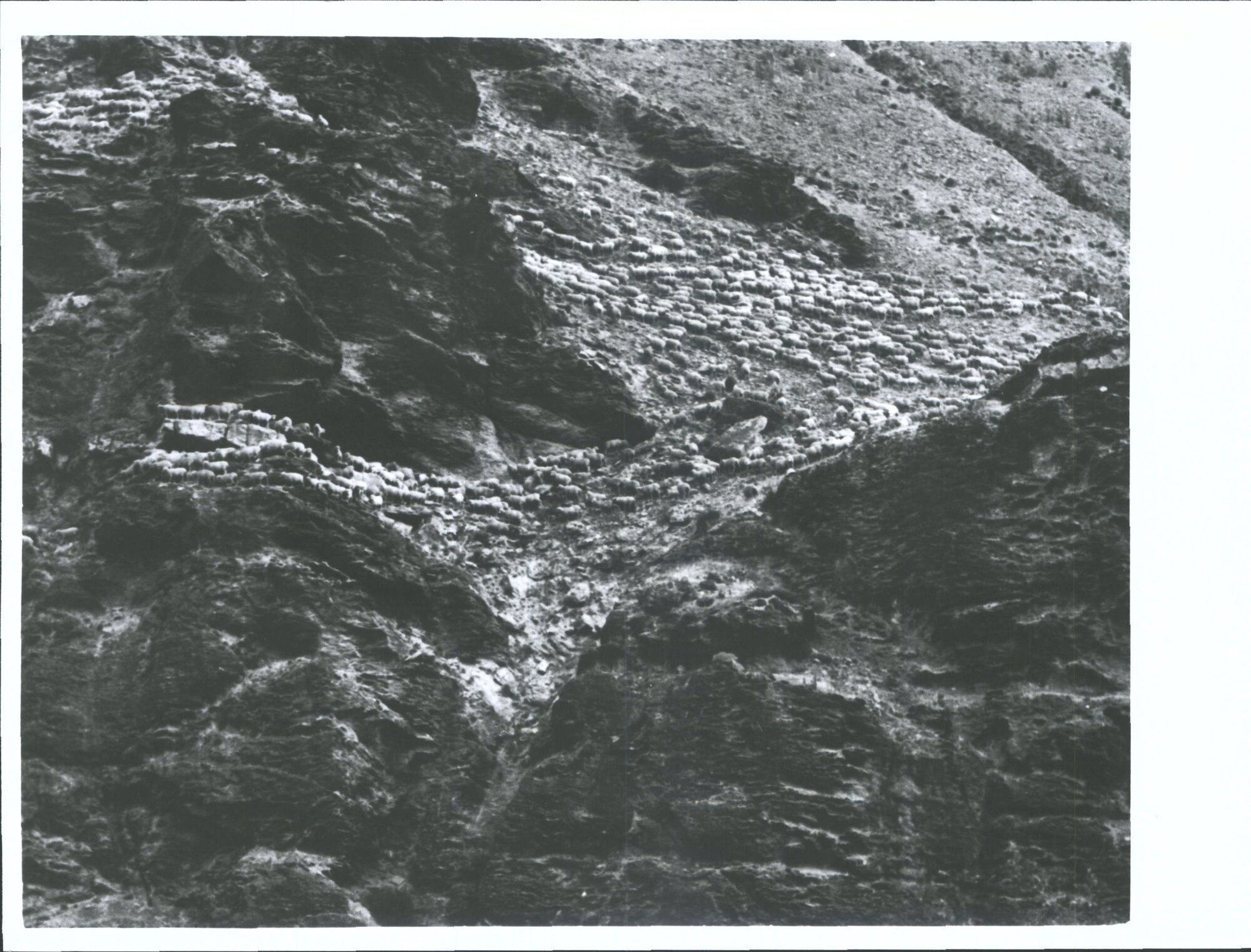 Mustering, unknown station