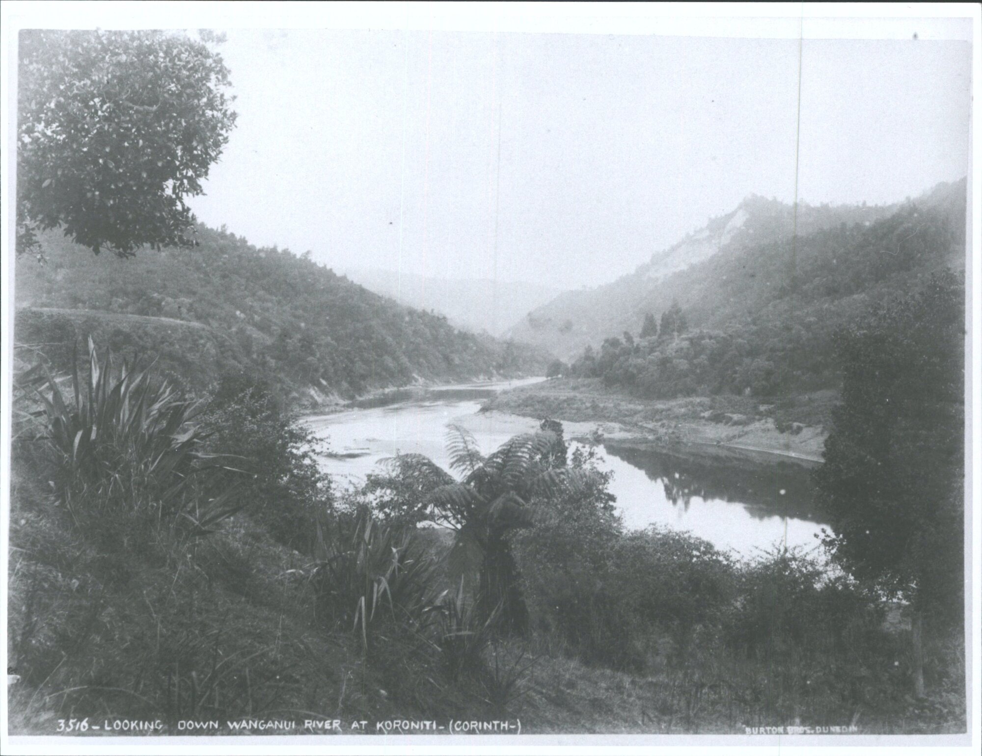 Looking down Wanganui River at Koroniti (Corinth-)