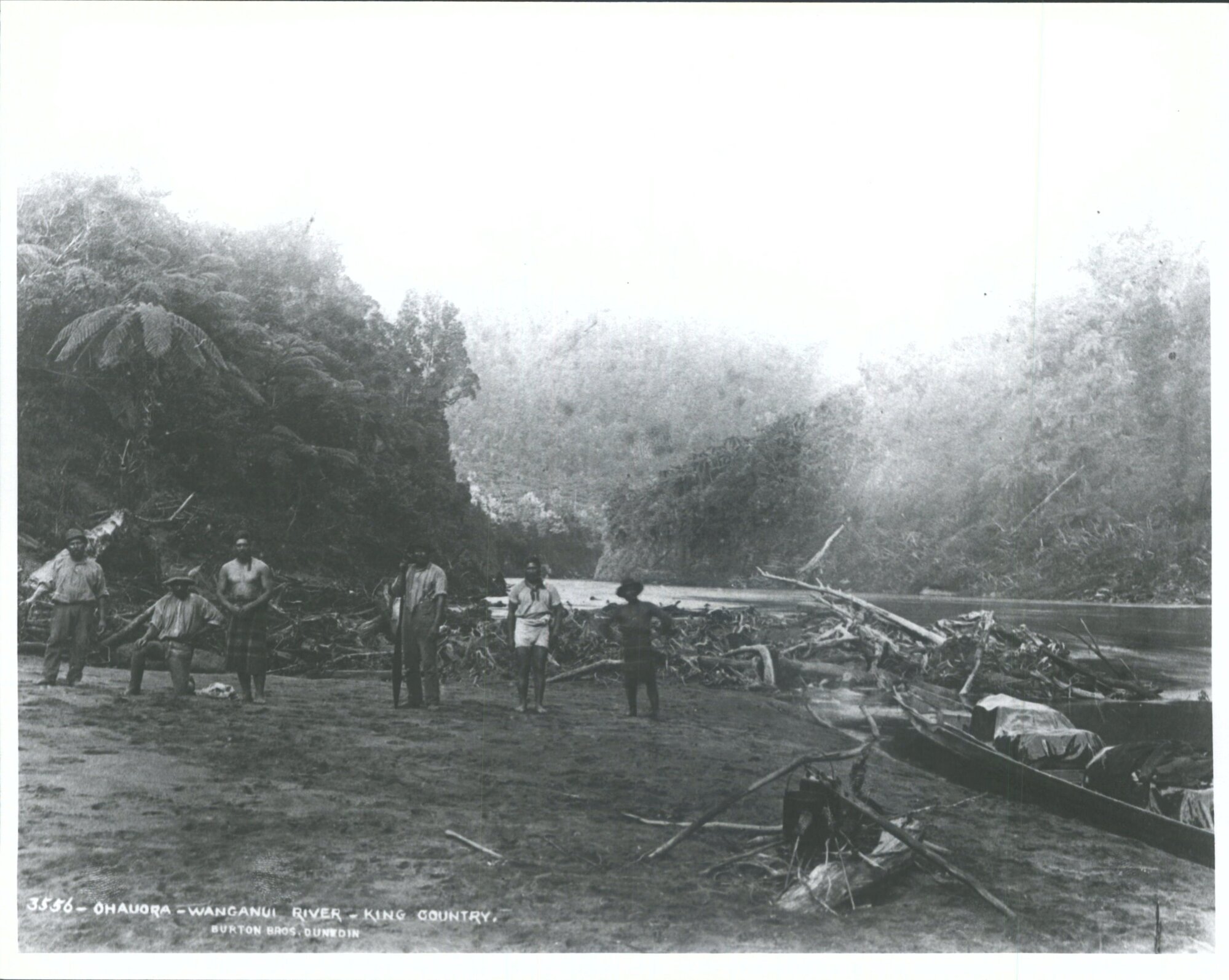 Ohauora - Wanganui River - King Country