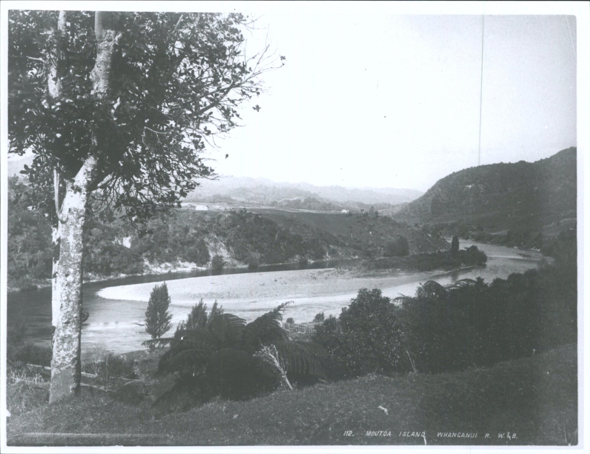 Moutoa Island, Whanganui River