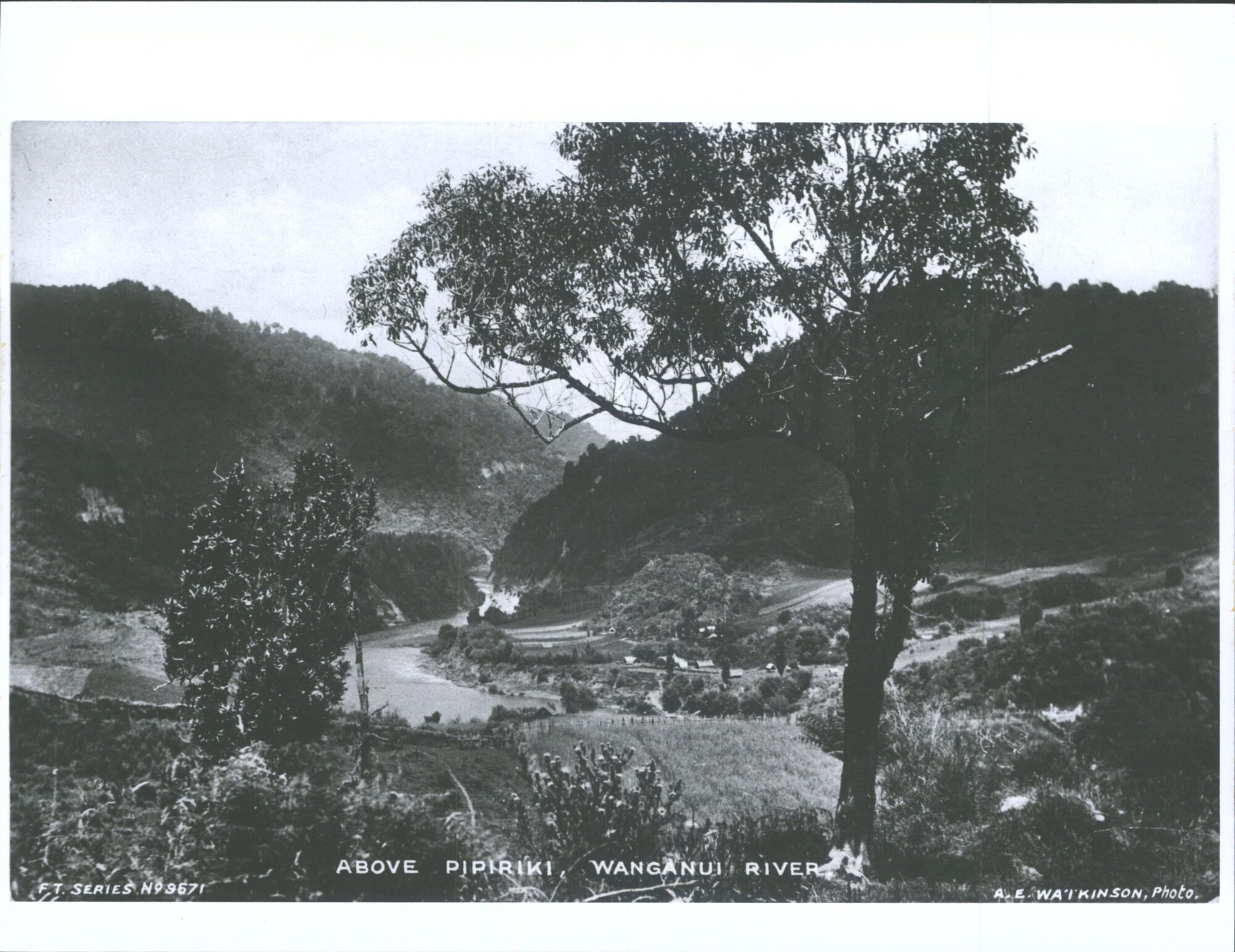 Above Pipiriki, Wanganui River