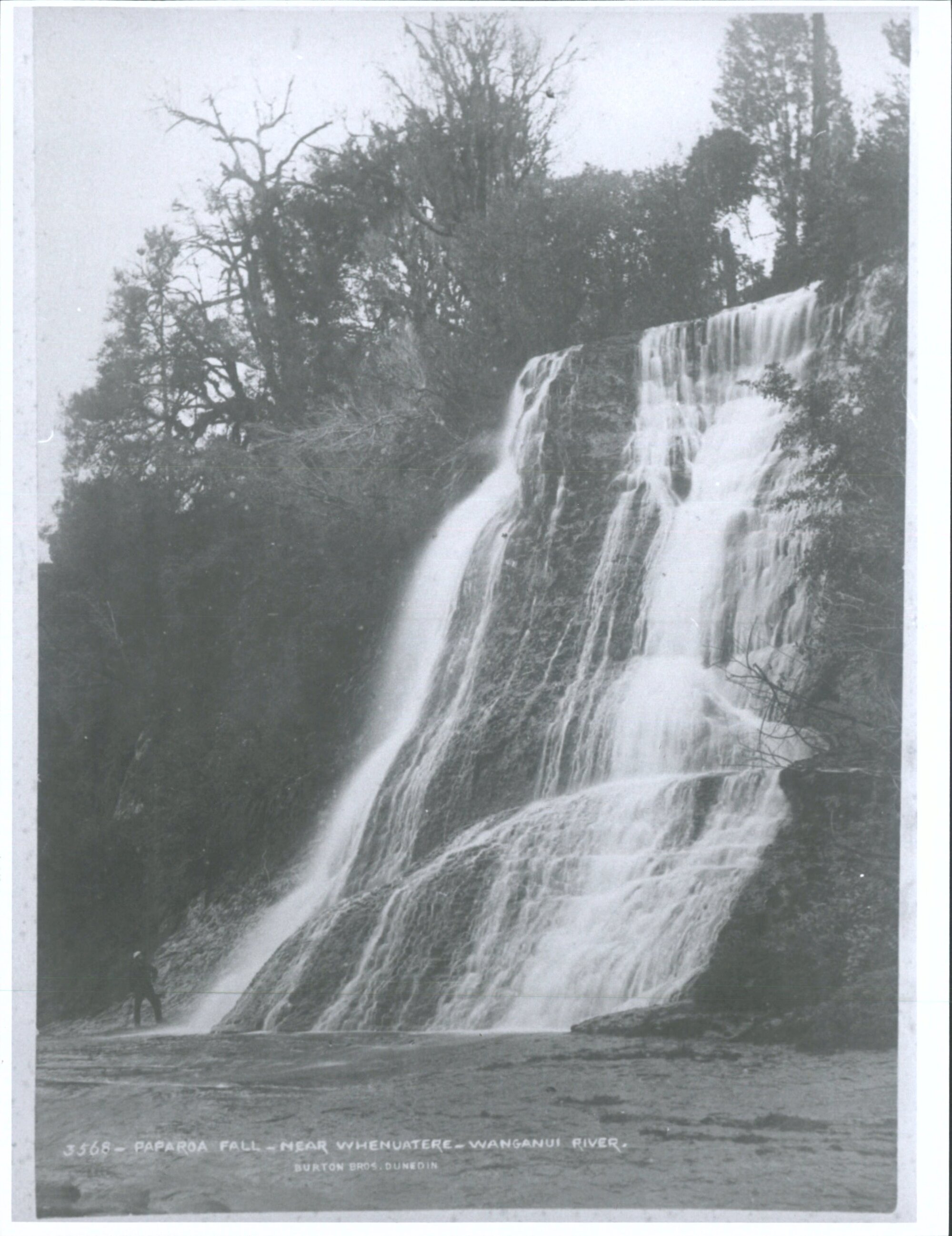 Paparoa Fall - Near Whenuatere - Wanganui River