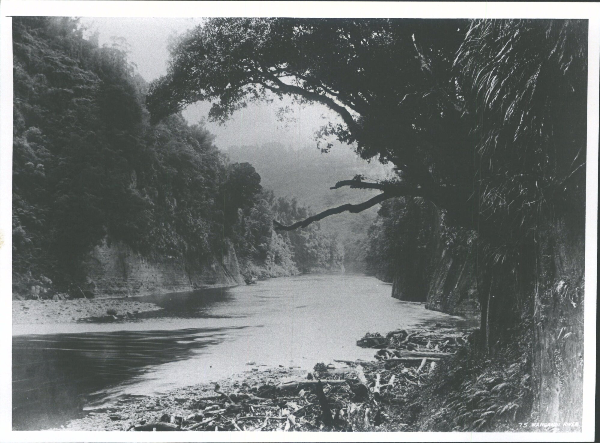 Wanganui River