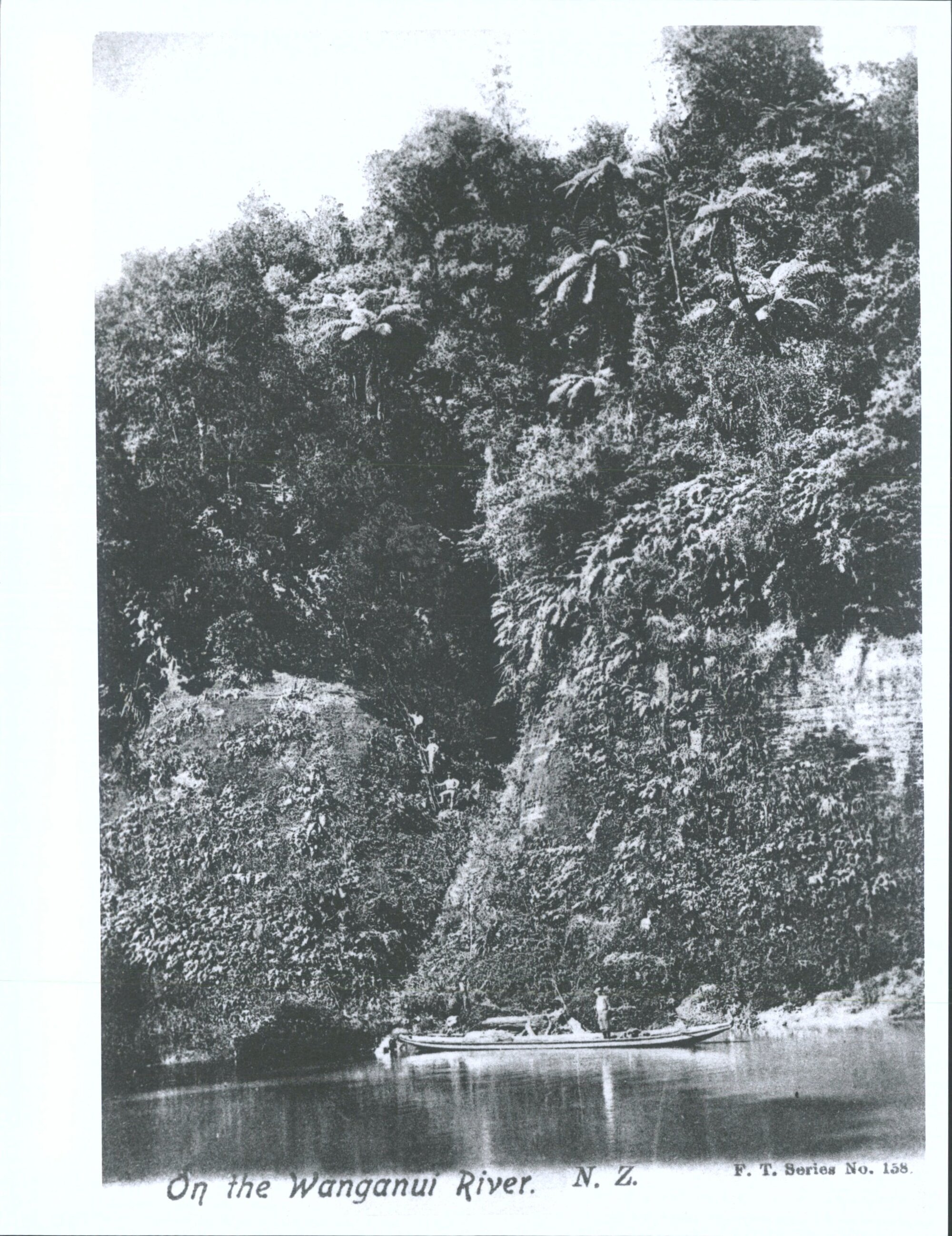On the Wanganui River, N.Z.