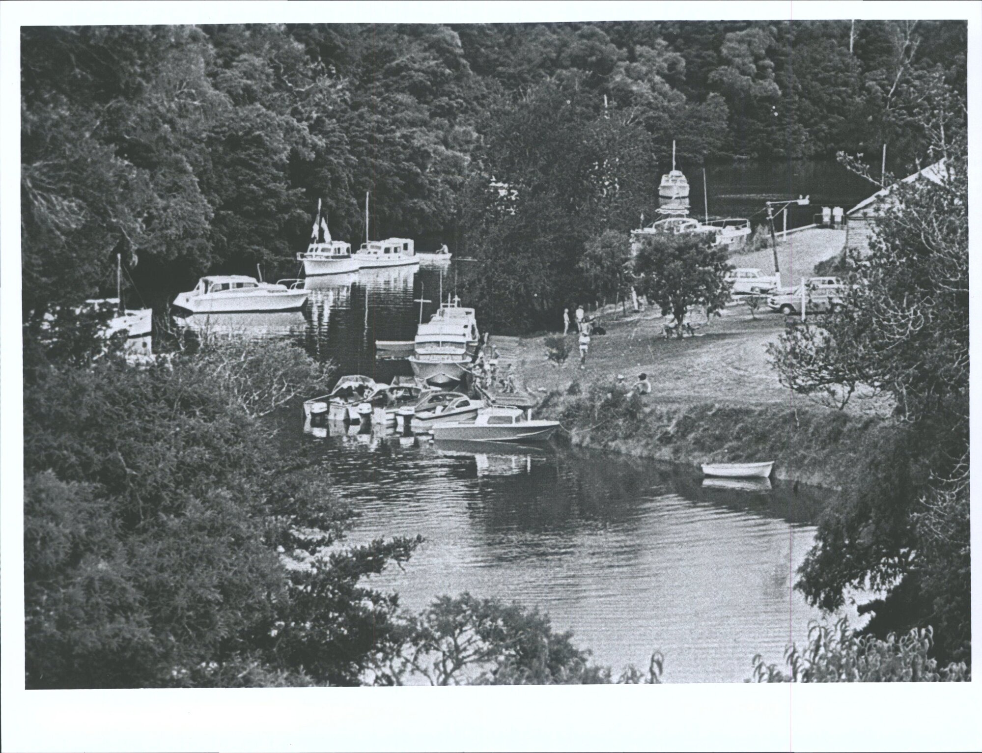 The Mahurangi River, Warkworth