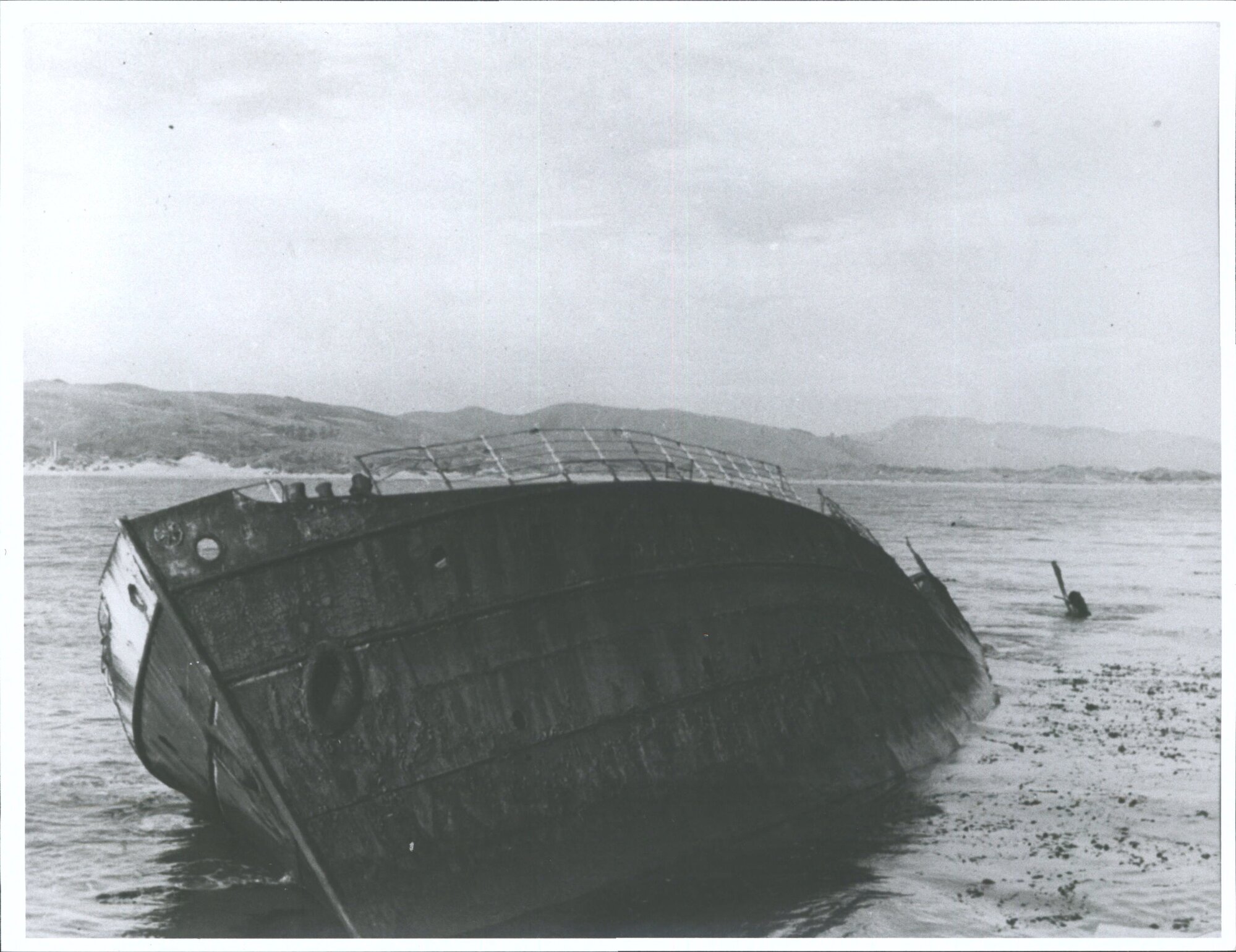 Otago Harbour Mole
