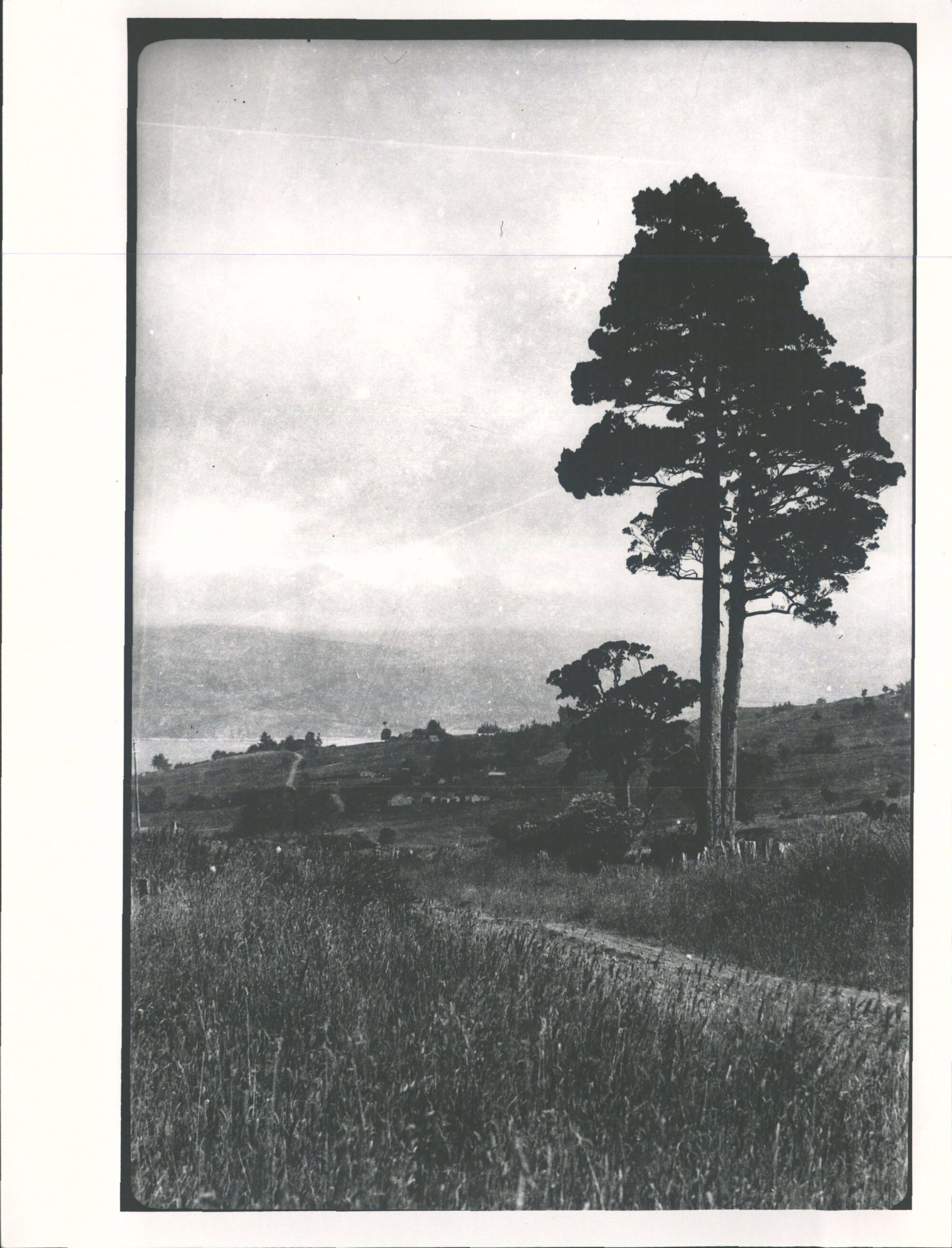 Looking towards Doctor's Point &amp; Purakanui Cliffs?
