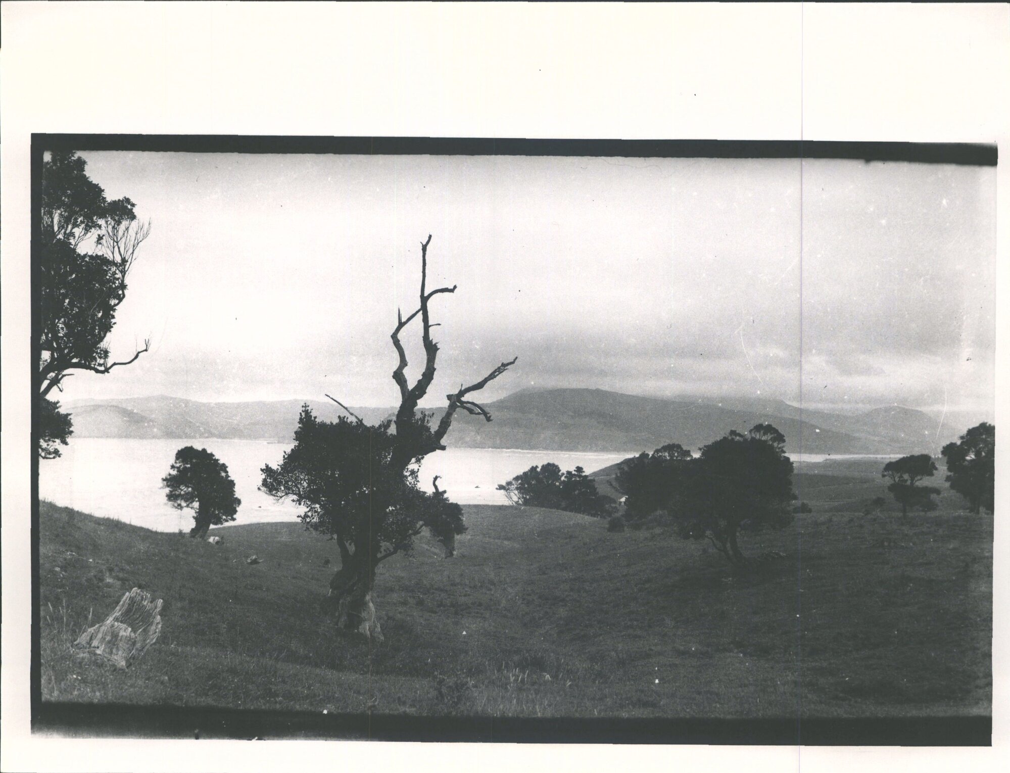 Looking towards Purakanui?