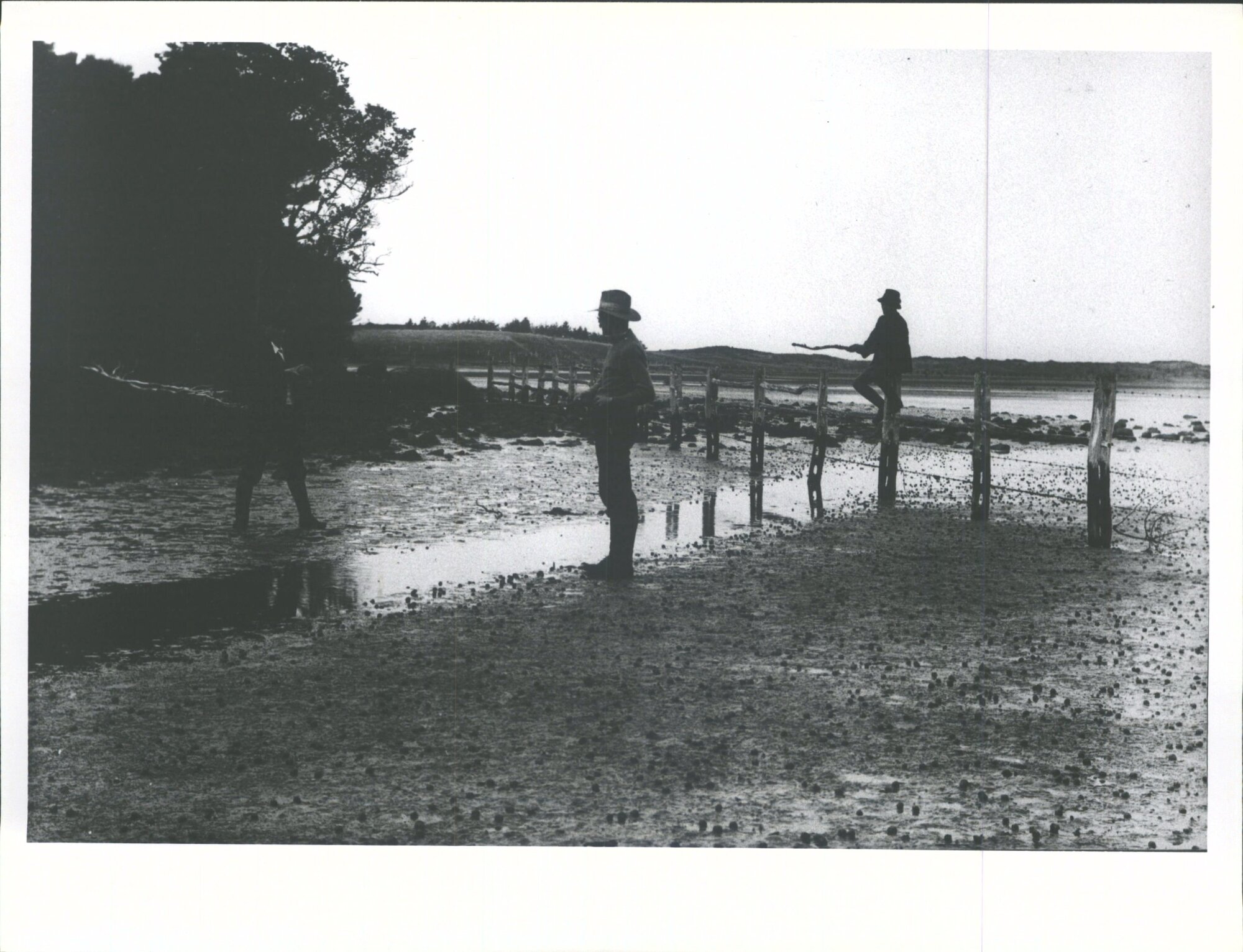 Low tide at head of Lagoon