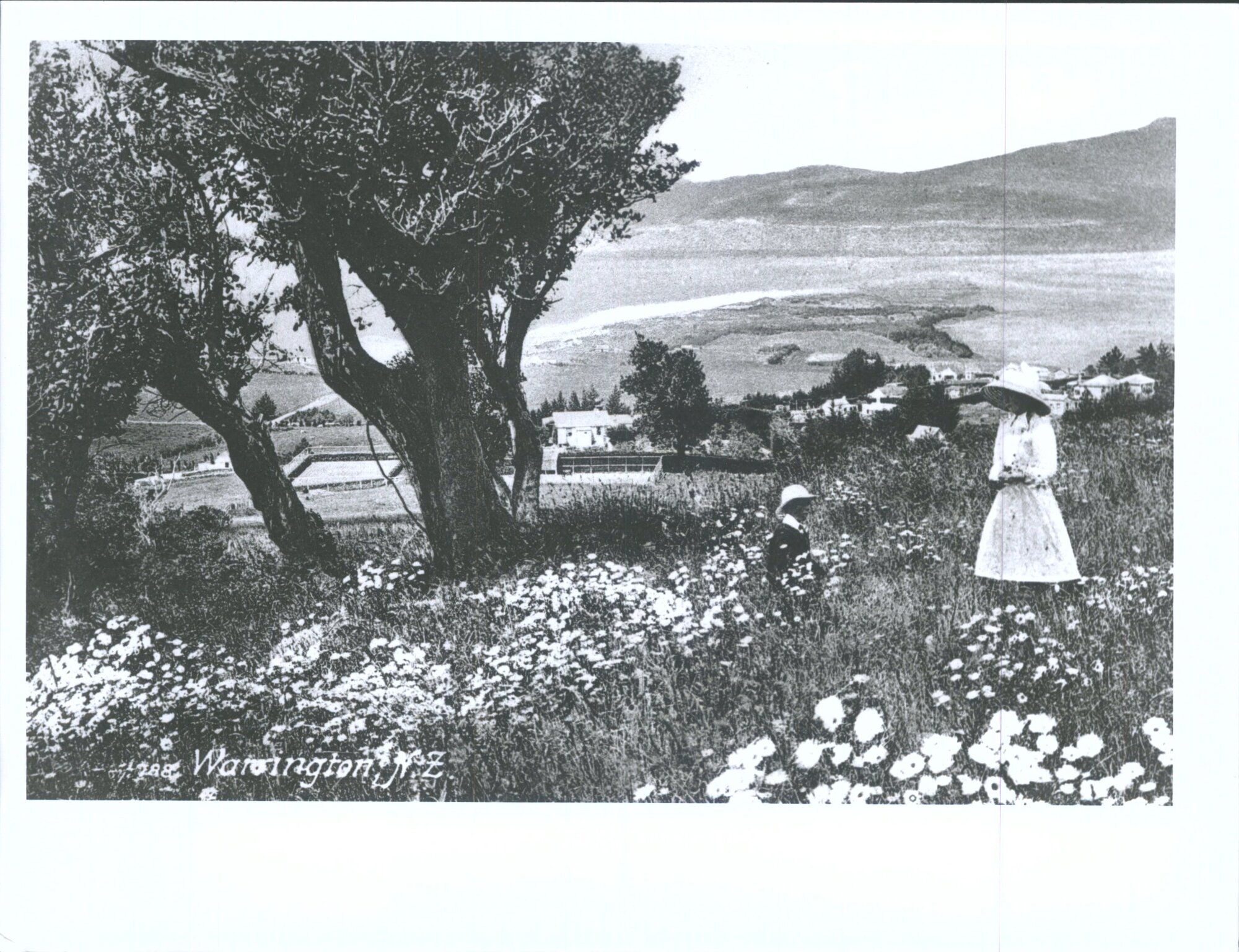 View over Warrington