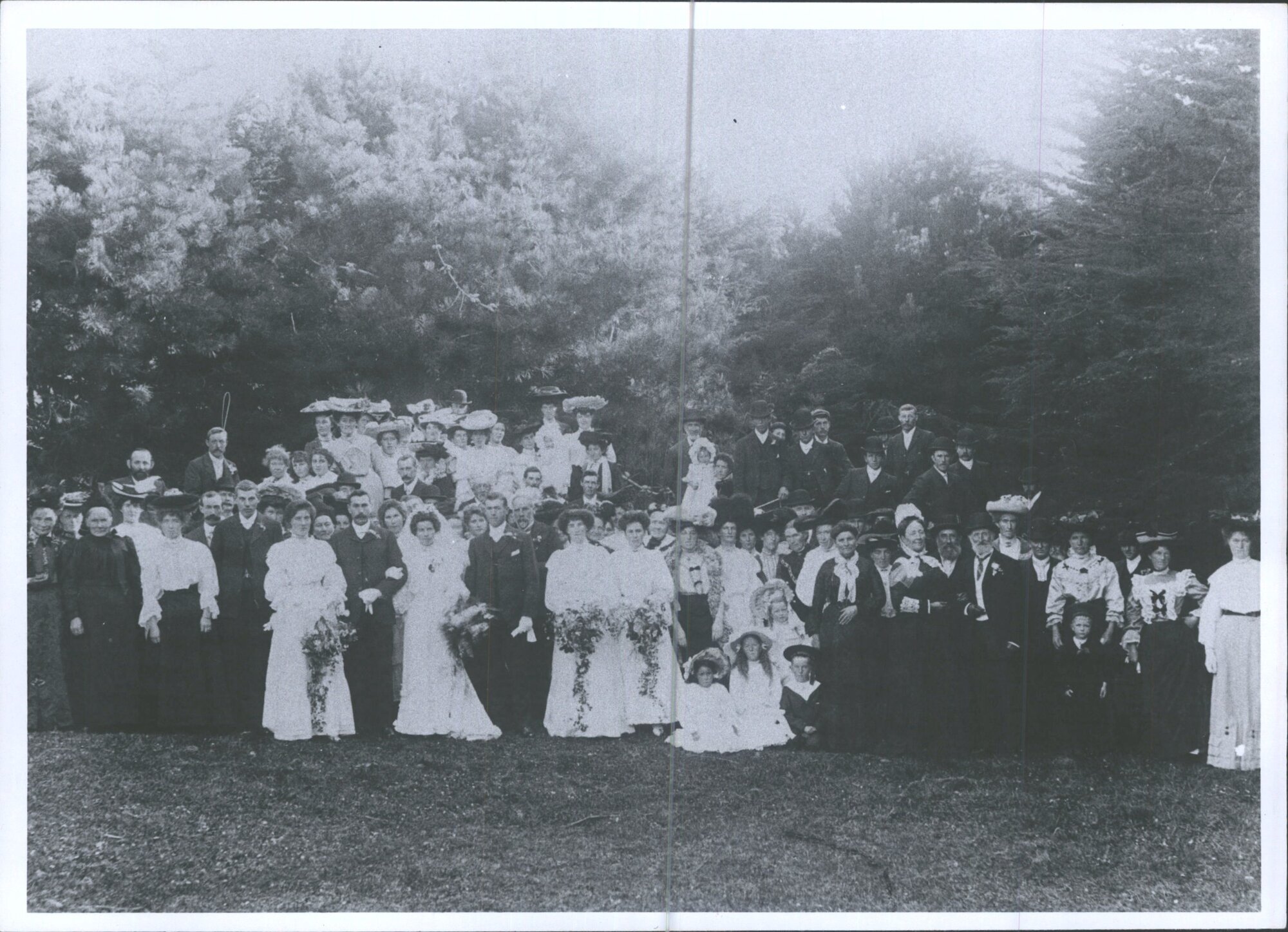 Charlie Smaill Wedding, Smaills Beach