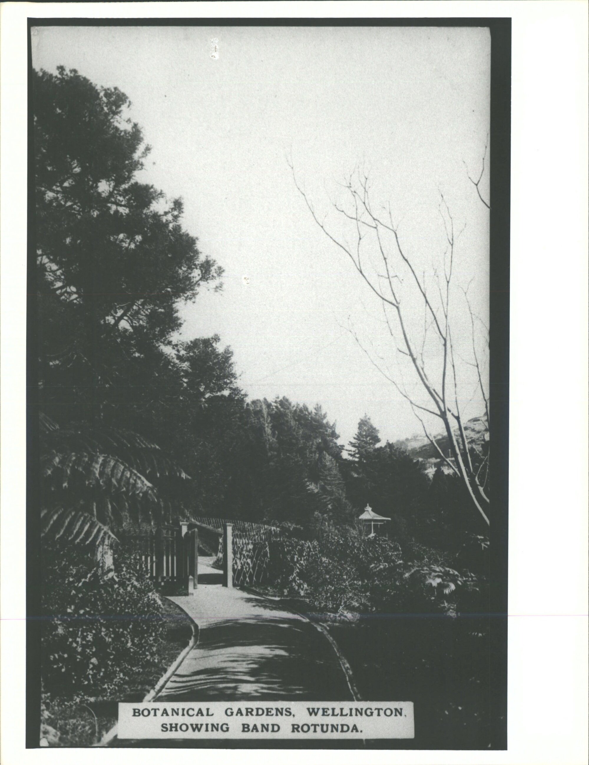 Botanical Gardens, Wellington, Showing Band Rotunda