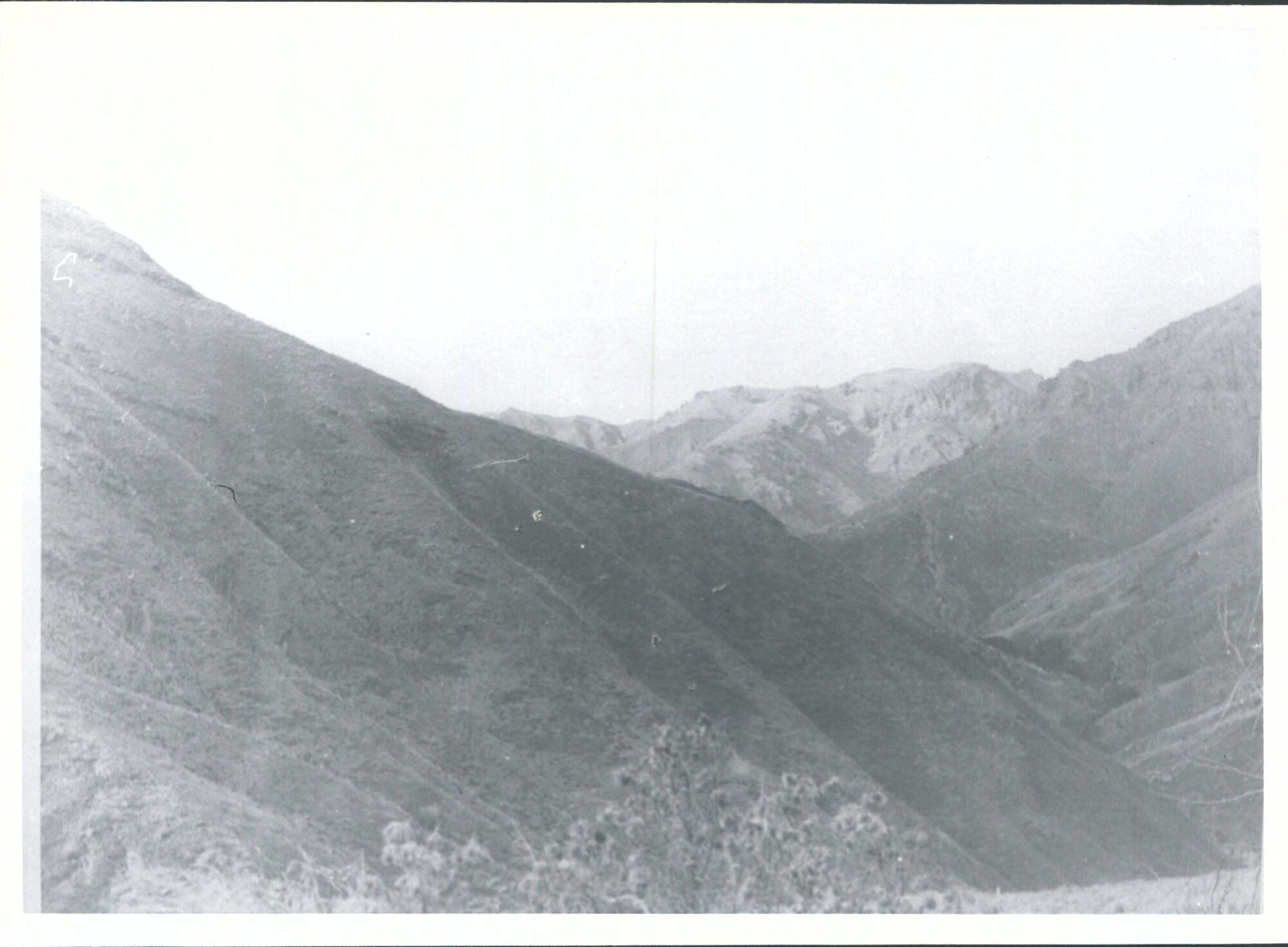 Silverpeaks from Mt. John hut