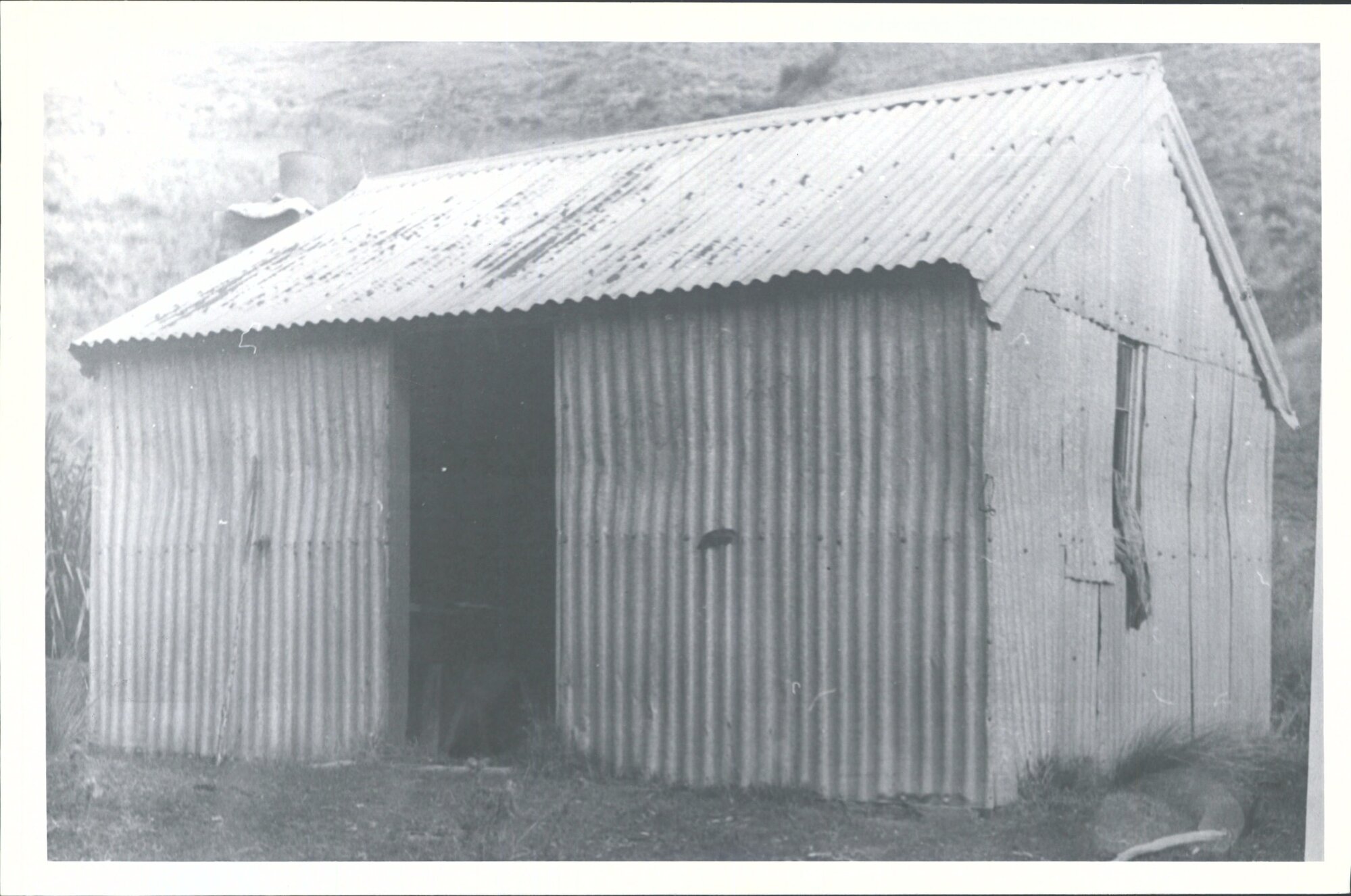 Mt. John Hut, 3/4 hr from Jubilee Hut
