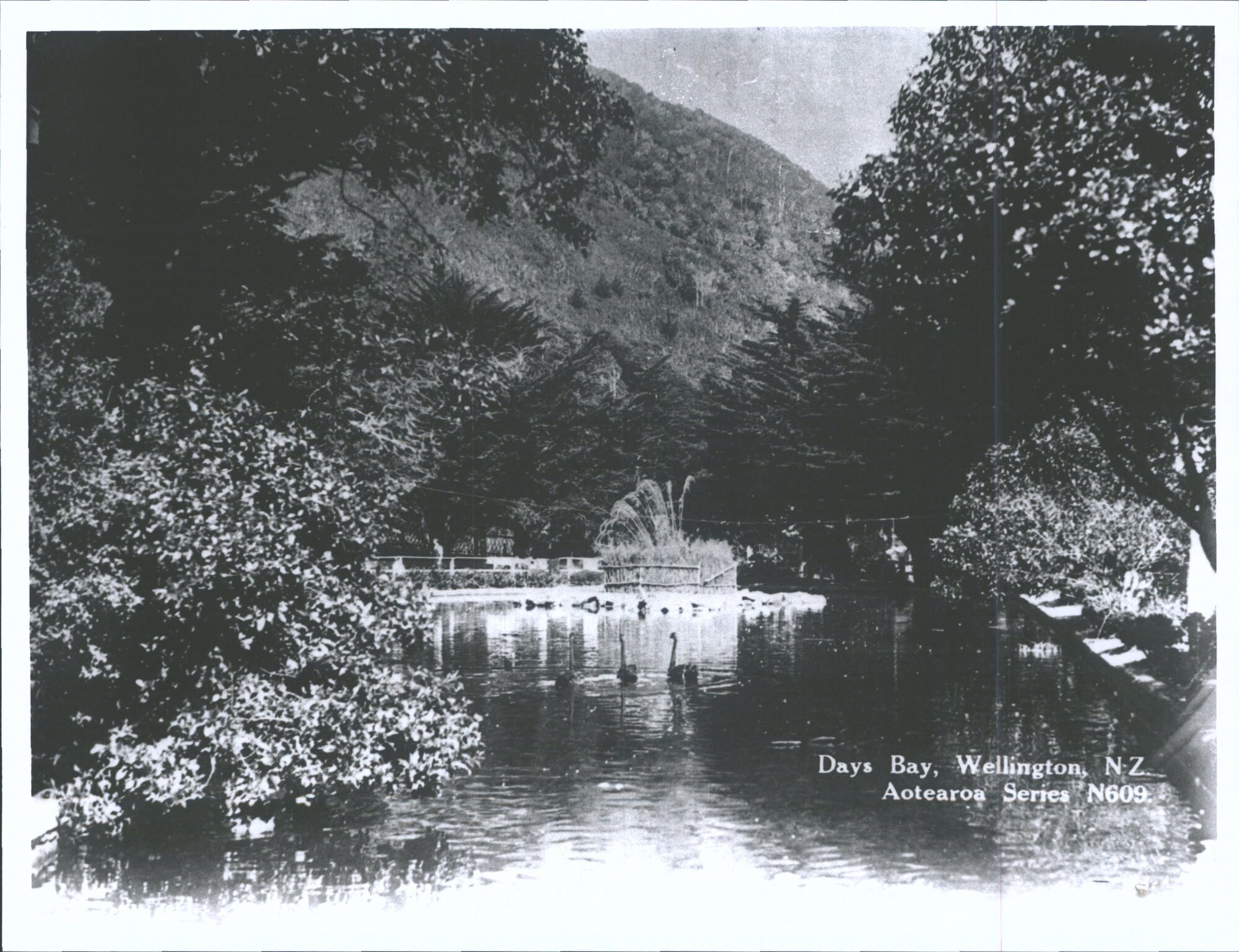 Days Bay, Wellington, N.Z.
