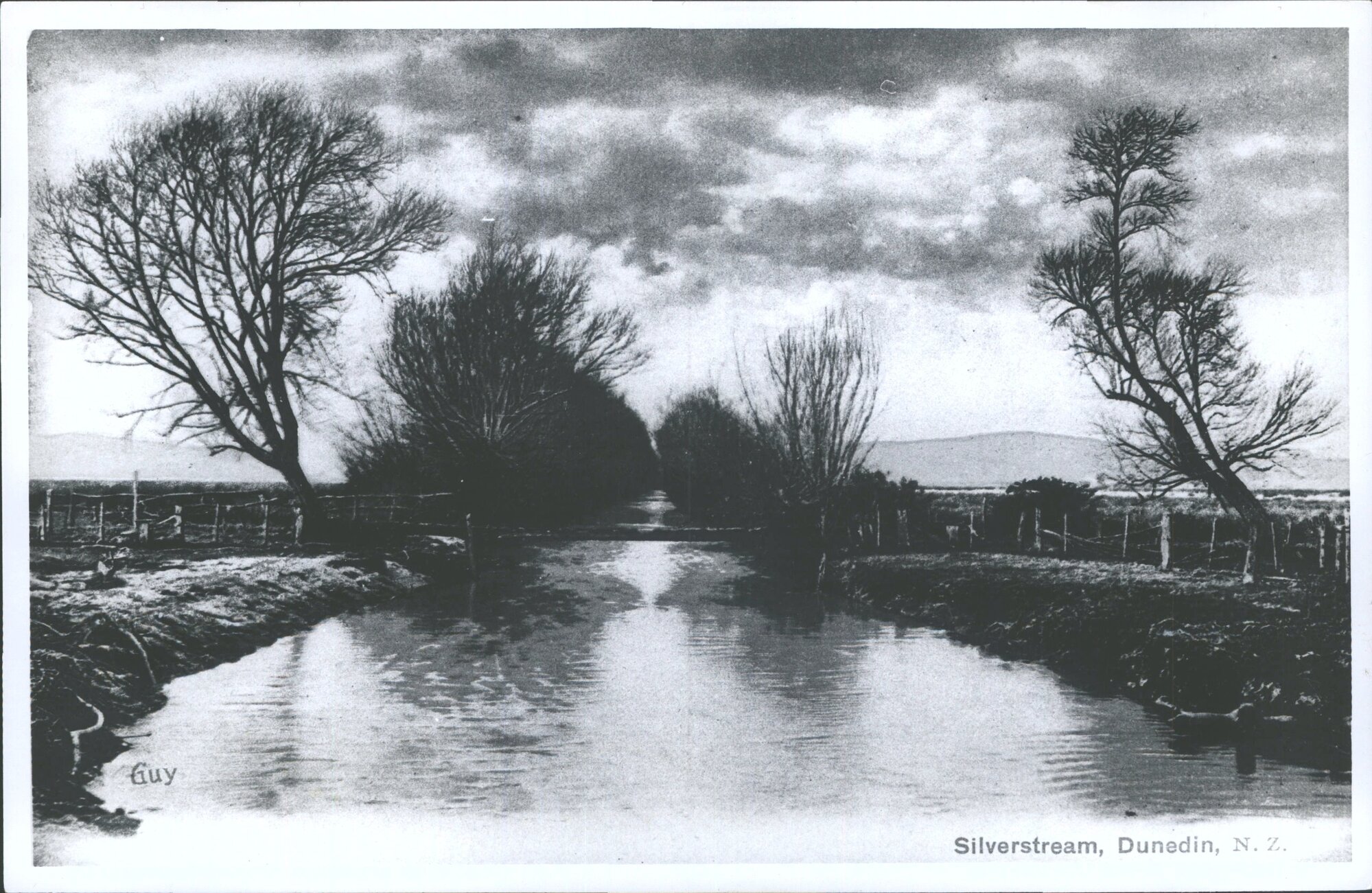 Silverstream, Dunedin, N.Z.