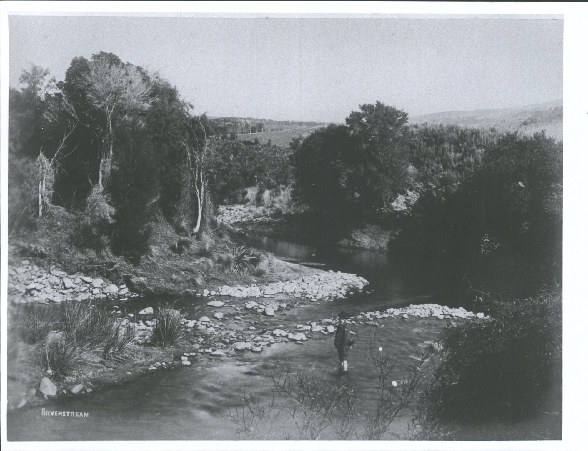 Unidentified Person standing in Silverstream