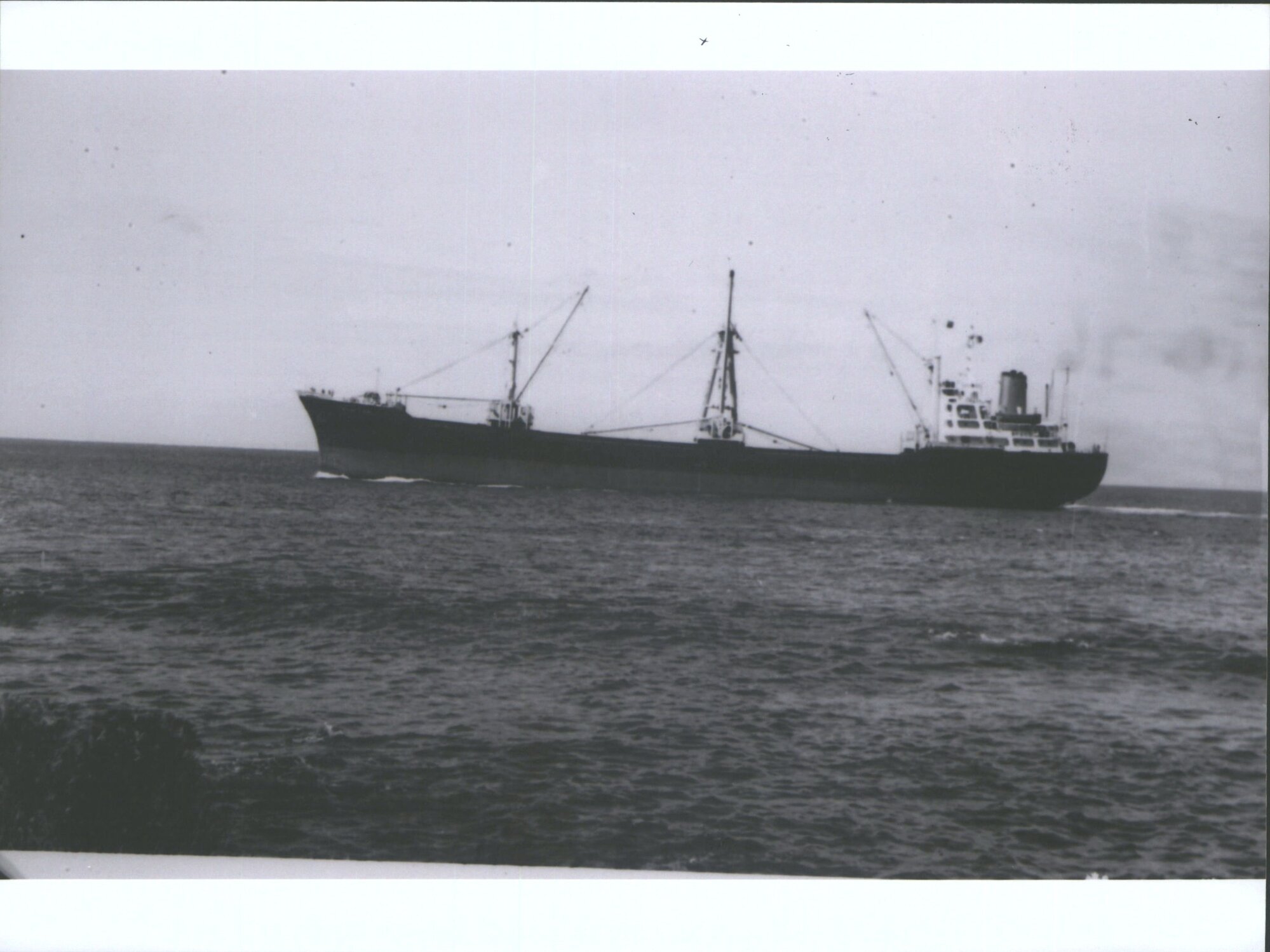 REGENT FLEUR ex GARLAND