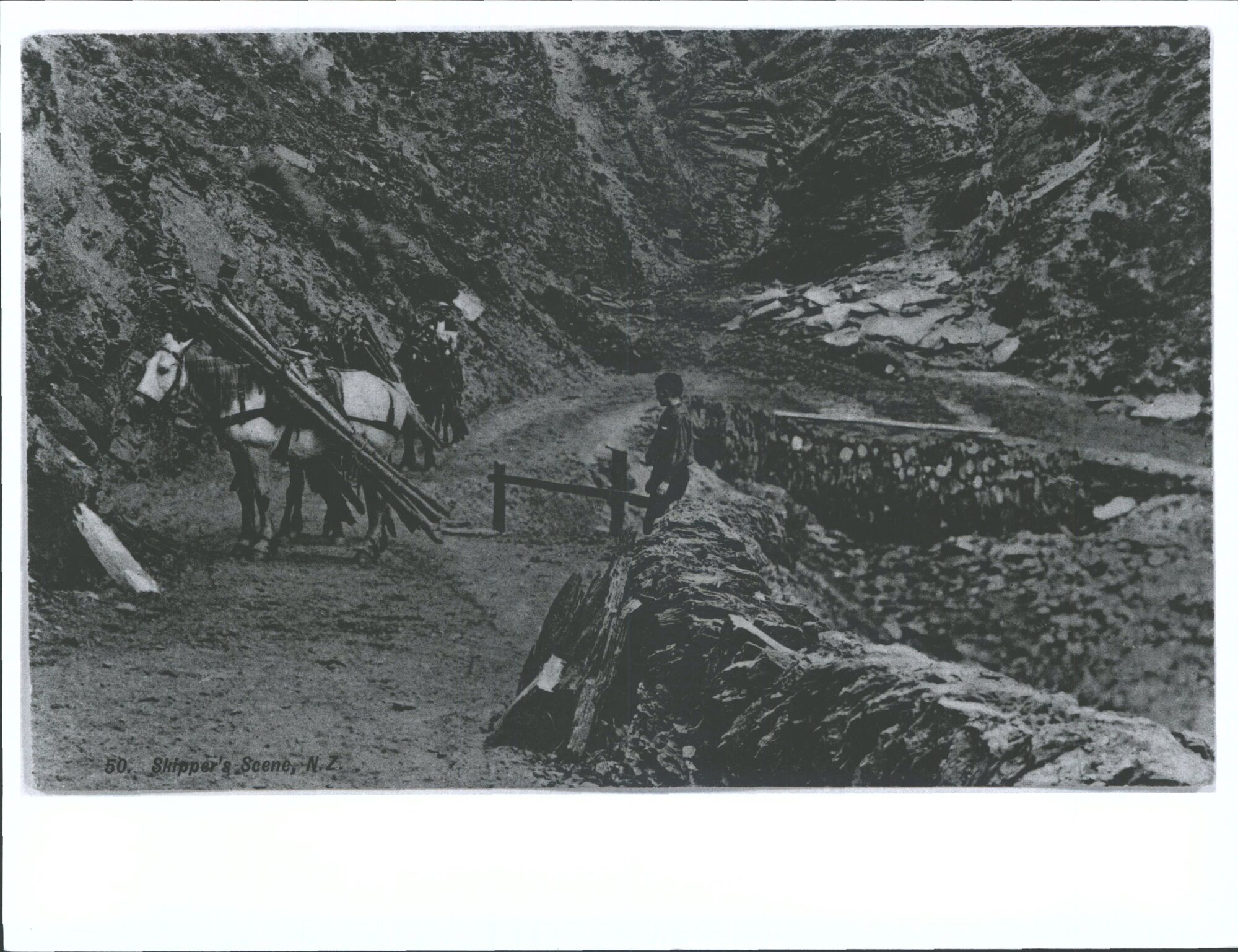 Packing Fire Wood, Skippers