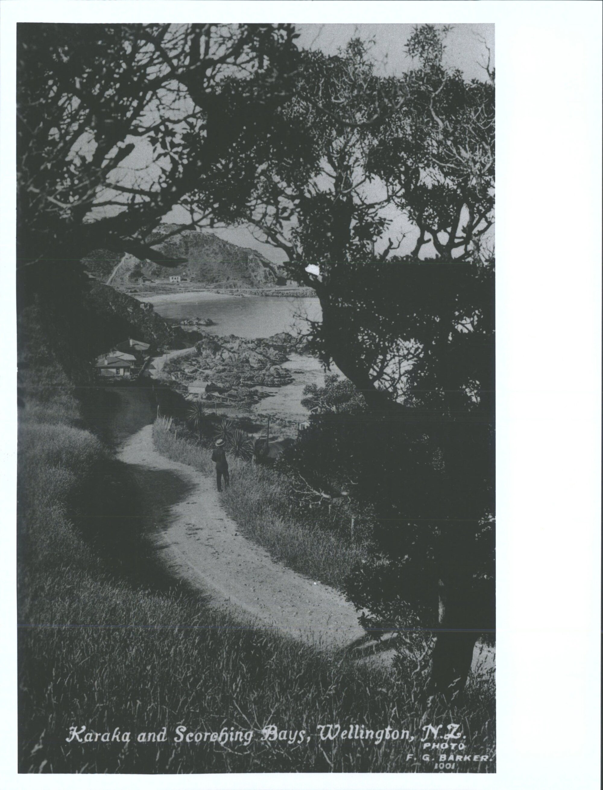 Karaka &amp; Scorching Bays, Wellington, N.Z.