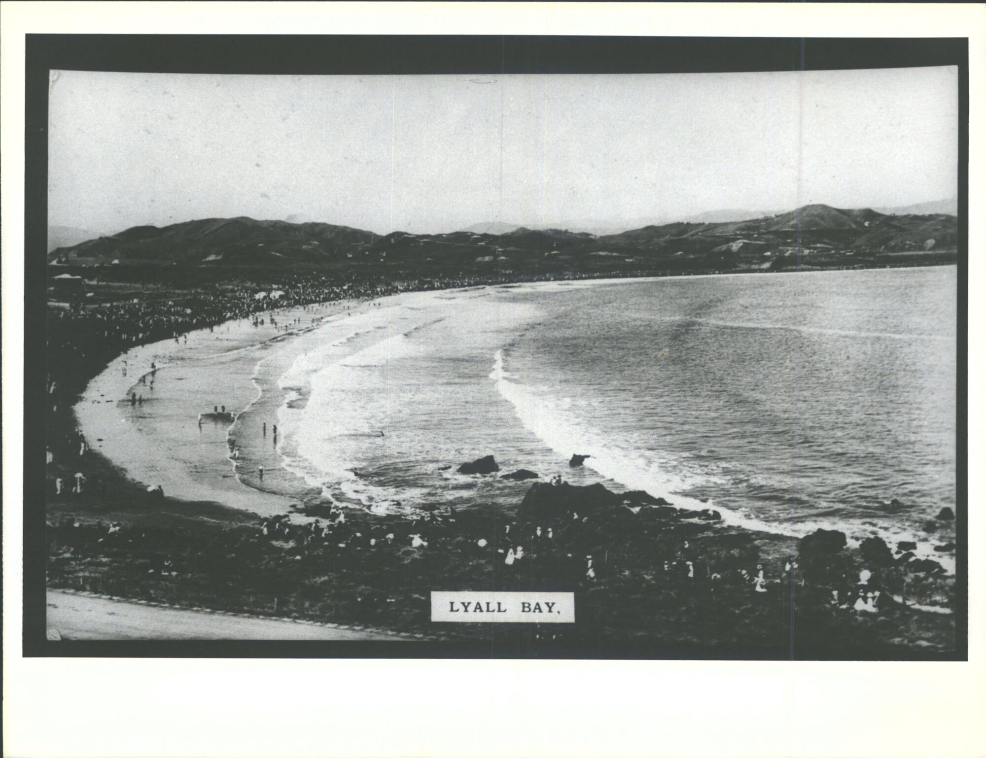 View over Lyall Bay
