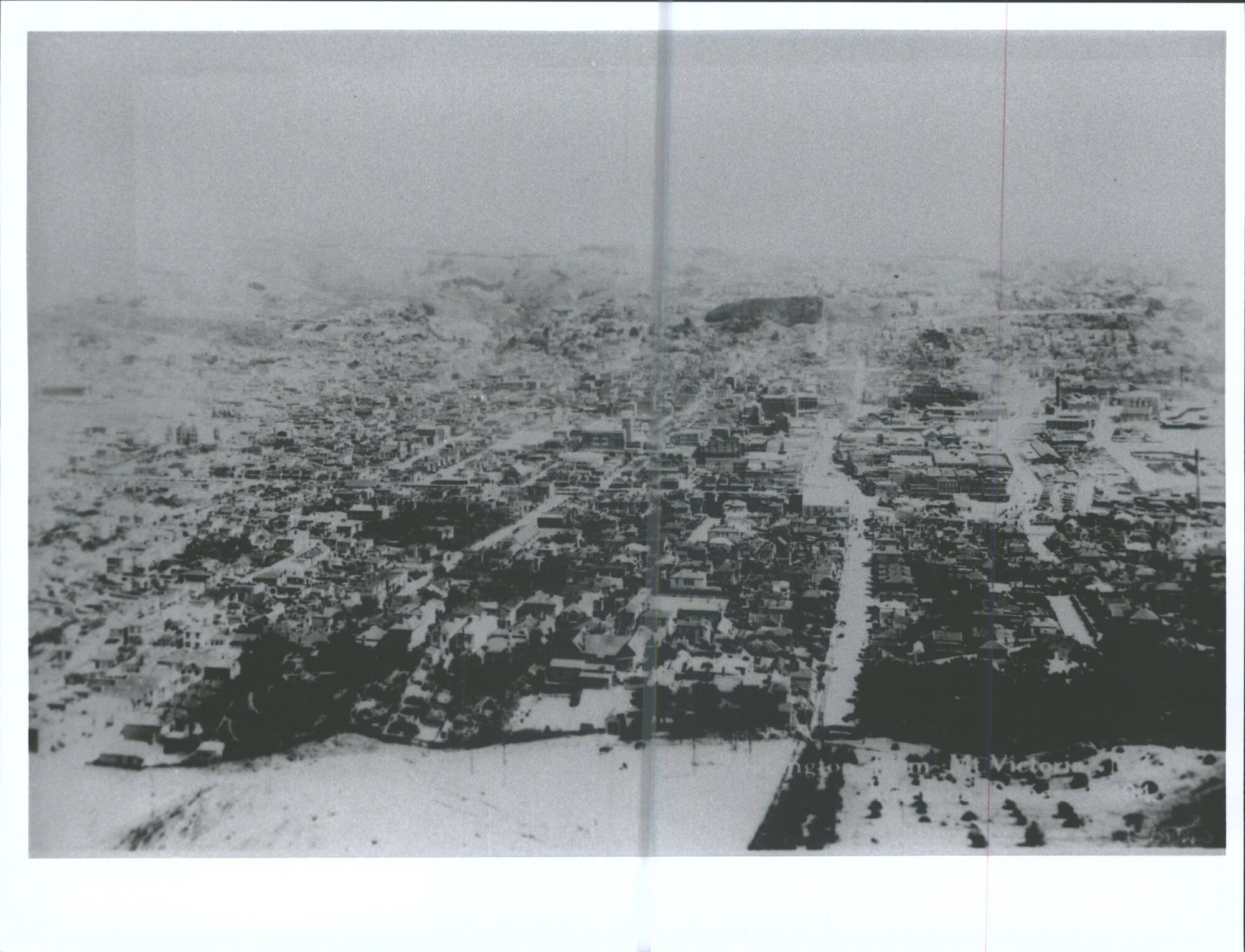 Wellington from Mt. Victoria